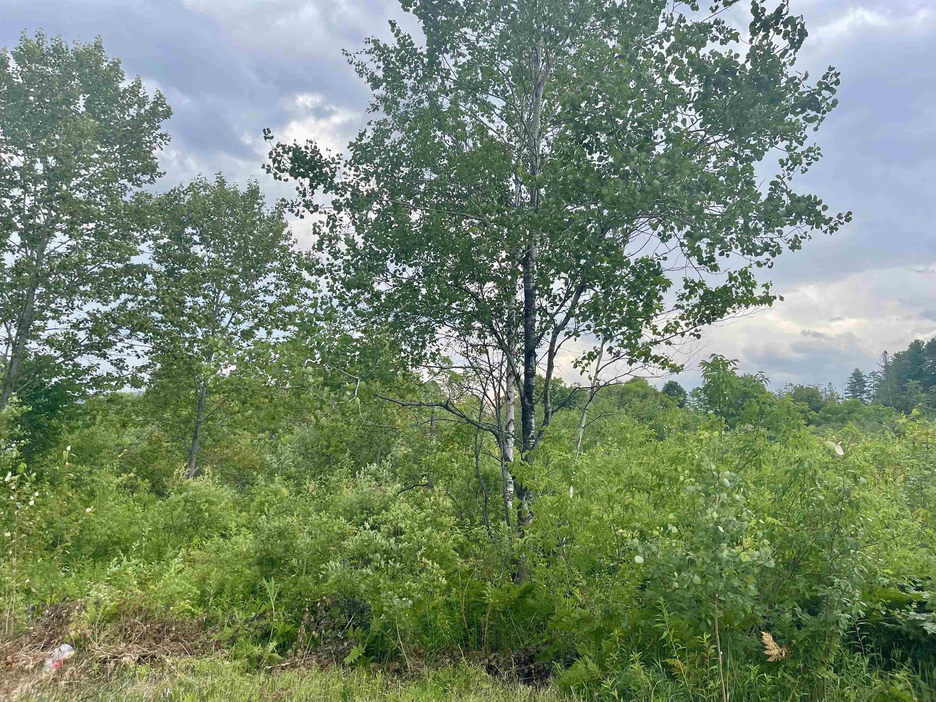 00 Gilman Road Property Photo 3
