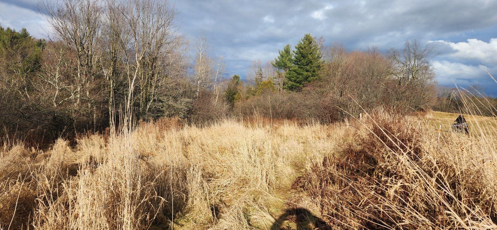 2051 Sheldon Woods Road Property Photo