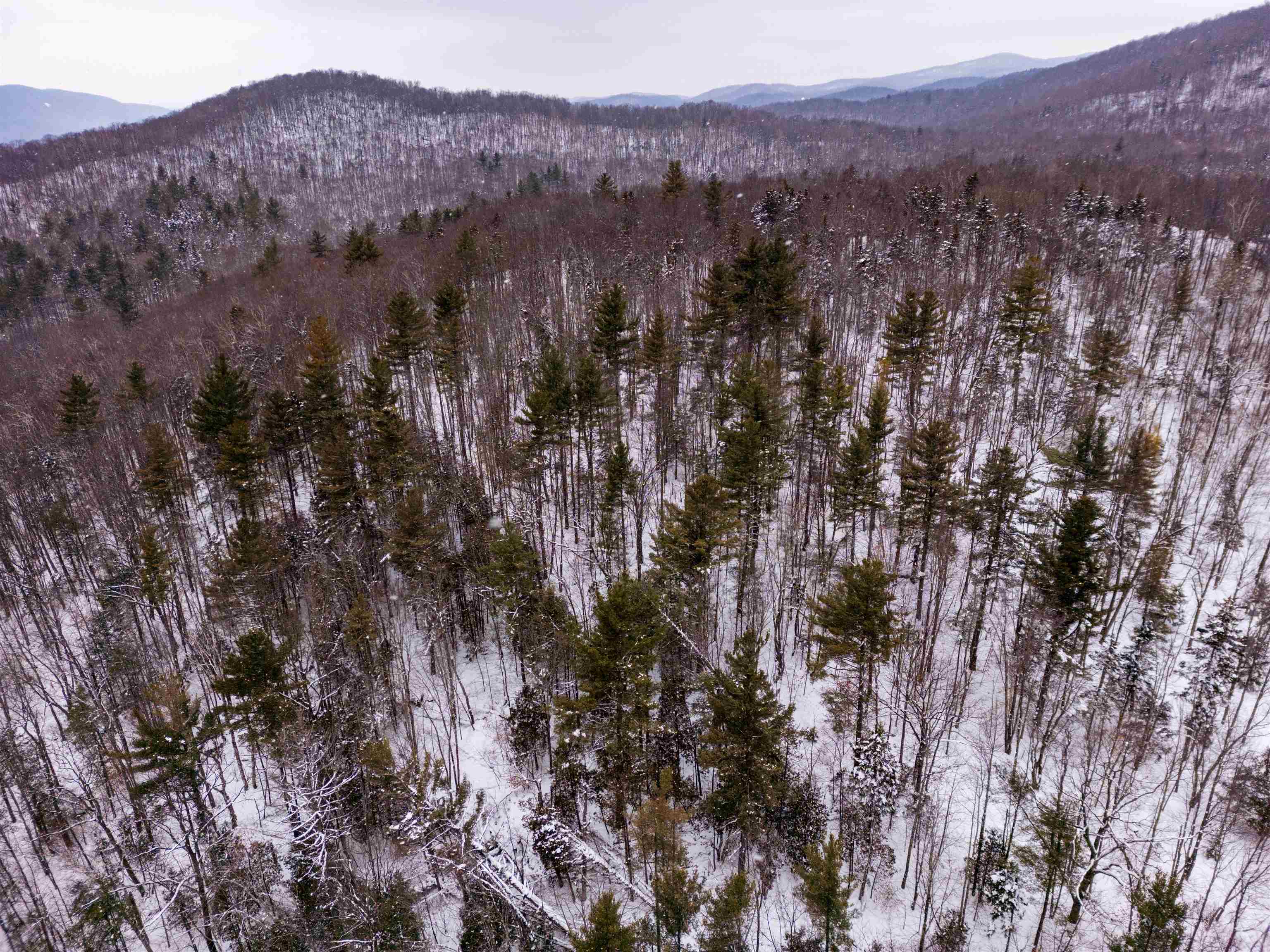 0 Upper Meehan Road Property Photo 5