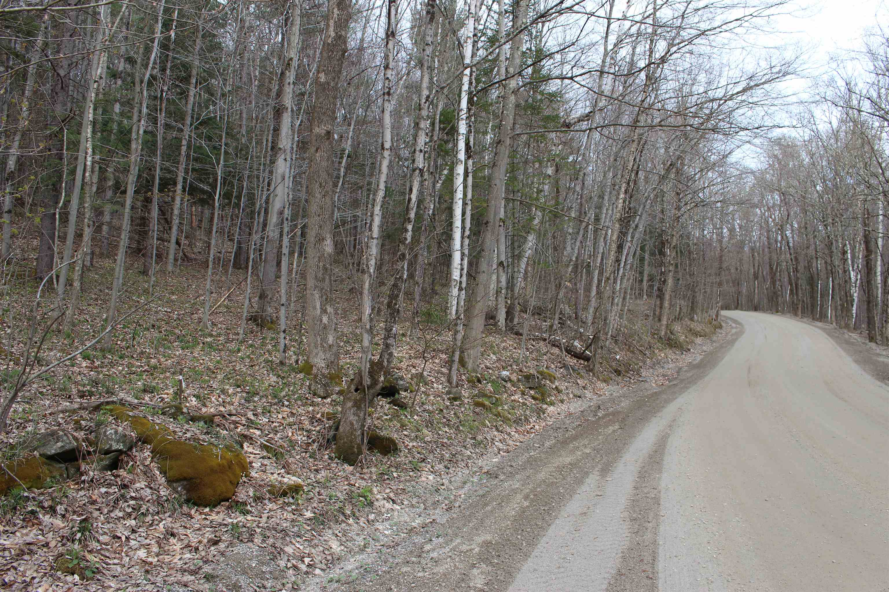 0 Upper Meehan Road Property Photo 7