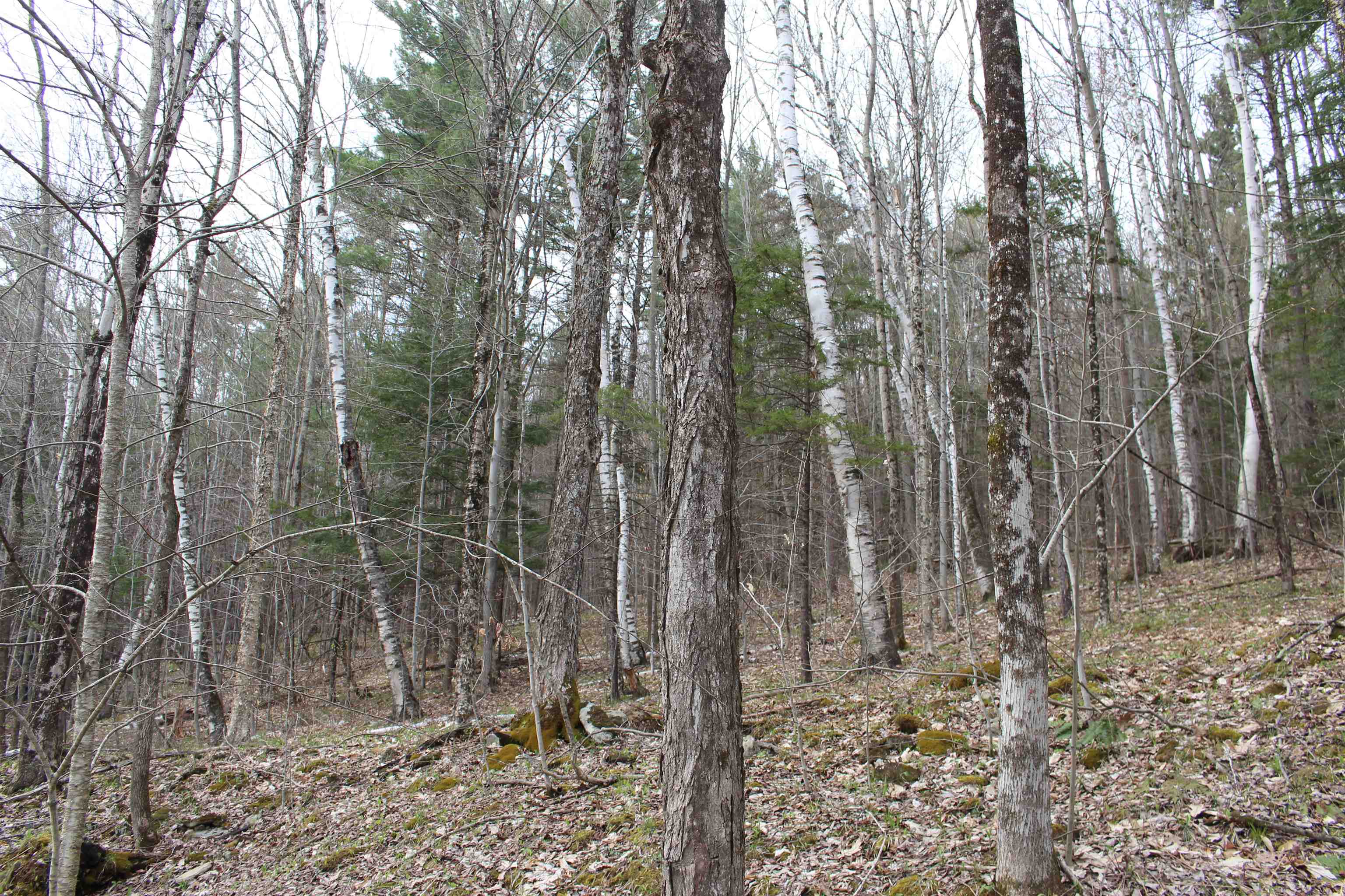 0 Upper Meehan Road Property Photo 9