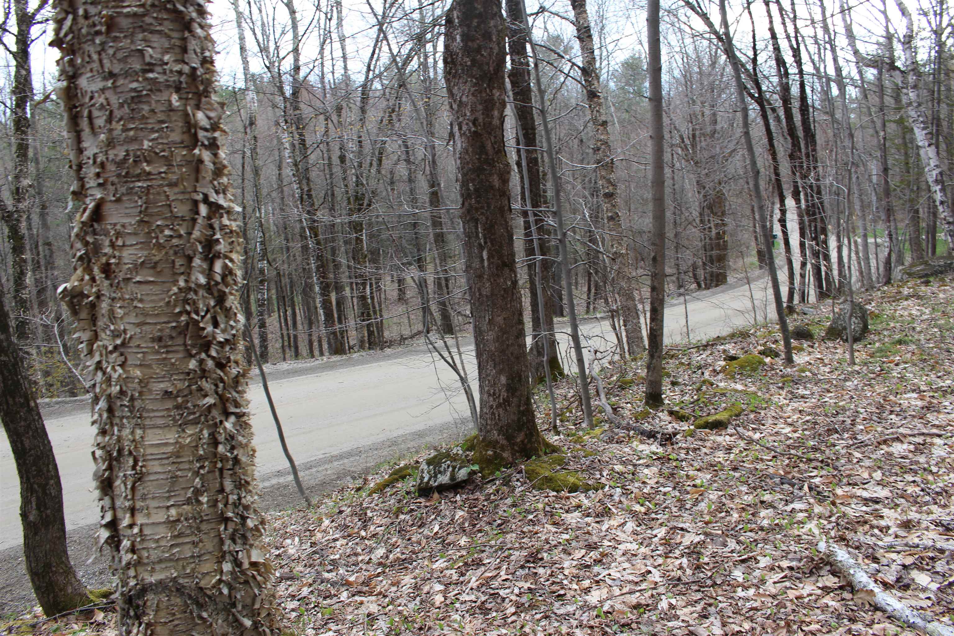0 Upper Meehan Road Property Photo 10
