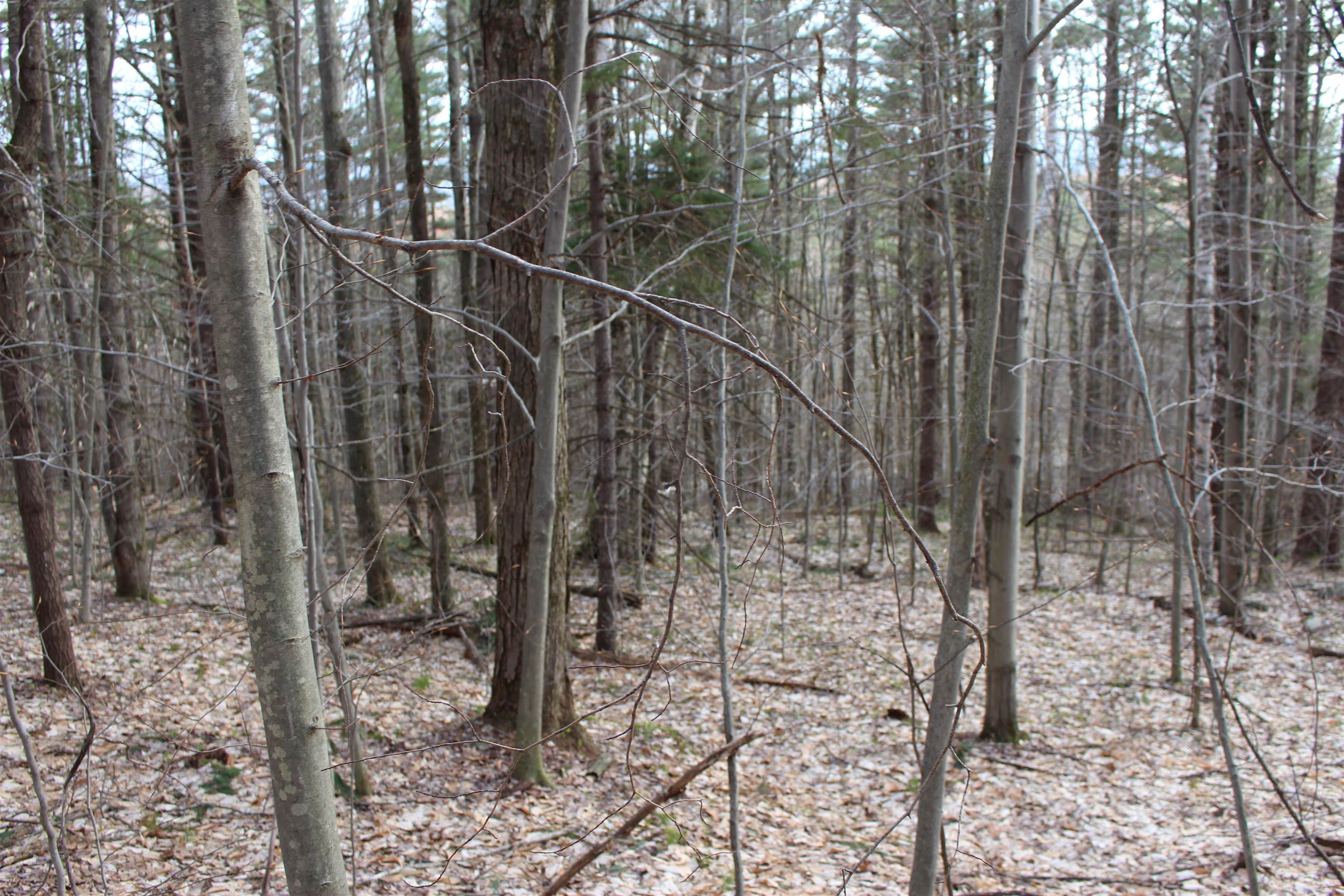 0 Upper Meehan Road Property Photo 16