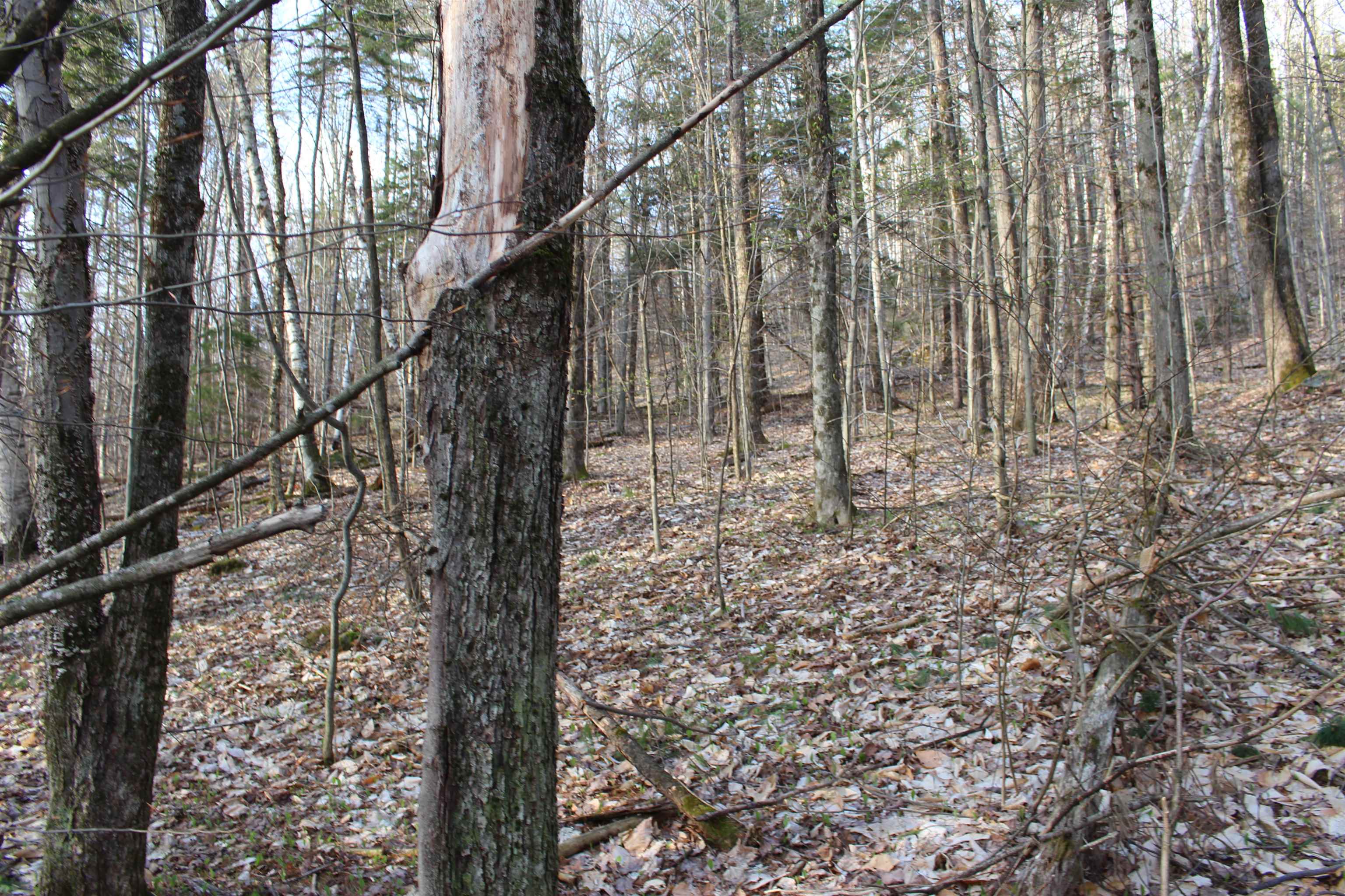 0 Upper Meehan Road Property Photo 18