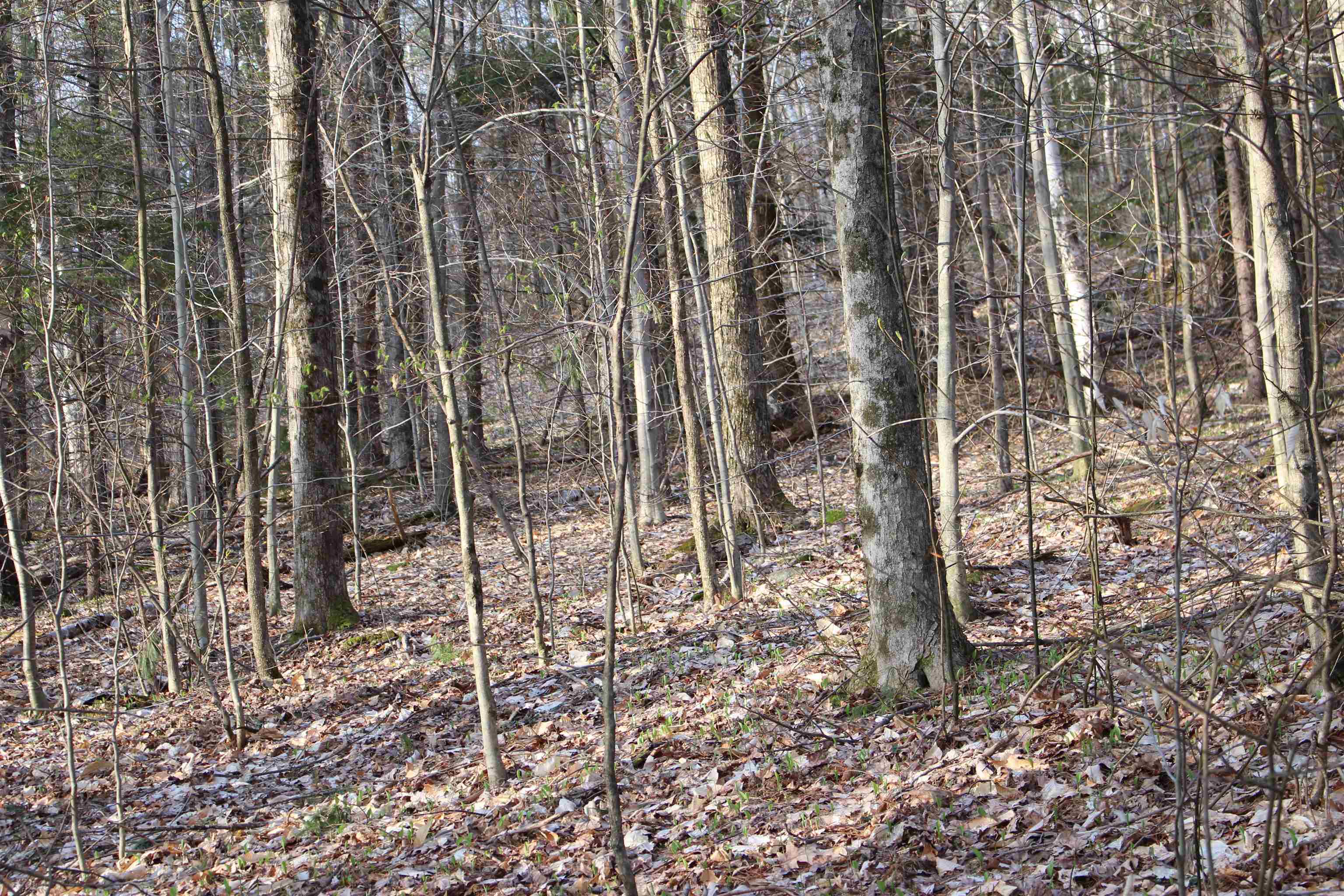 0 Upper Meehan Road Property Photo 19