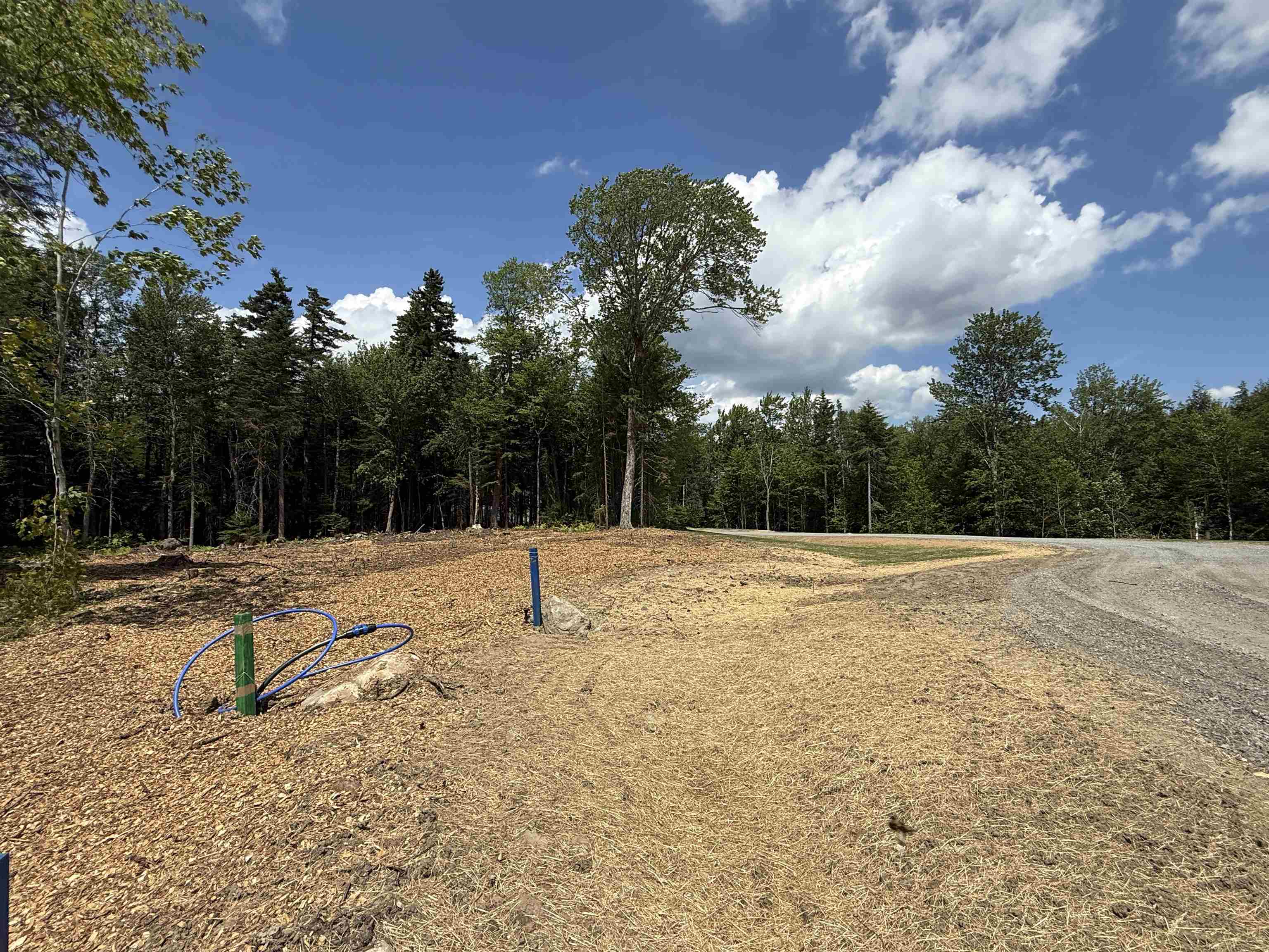 81 Mirror Lake Crossing Property Photo 4