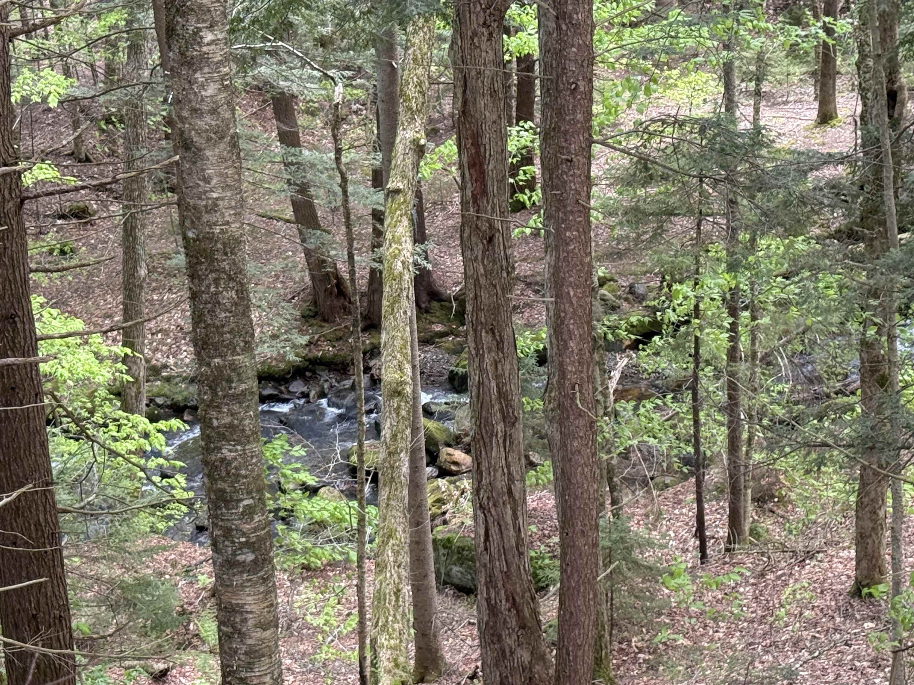 81 Mirror Lake Crossing Property Photo 10