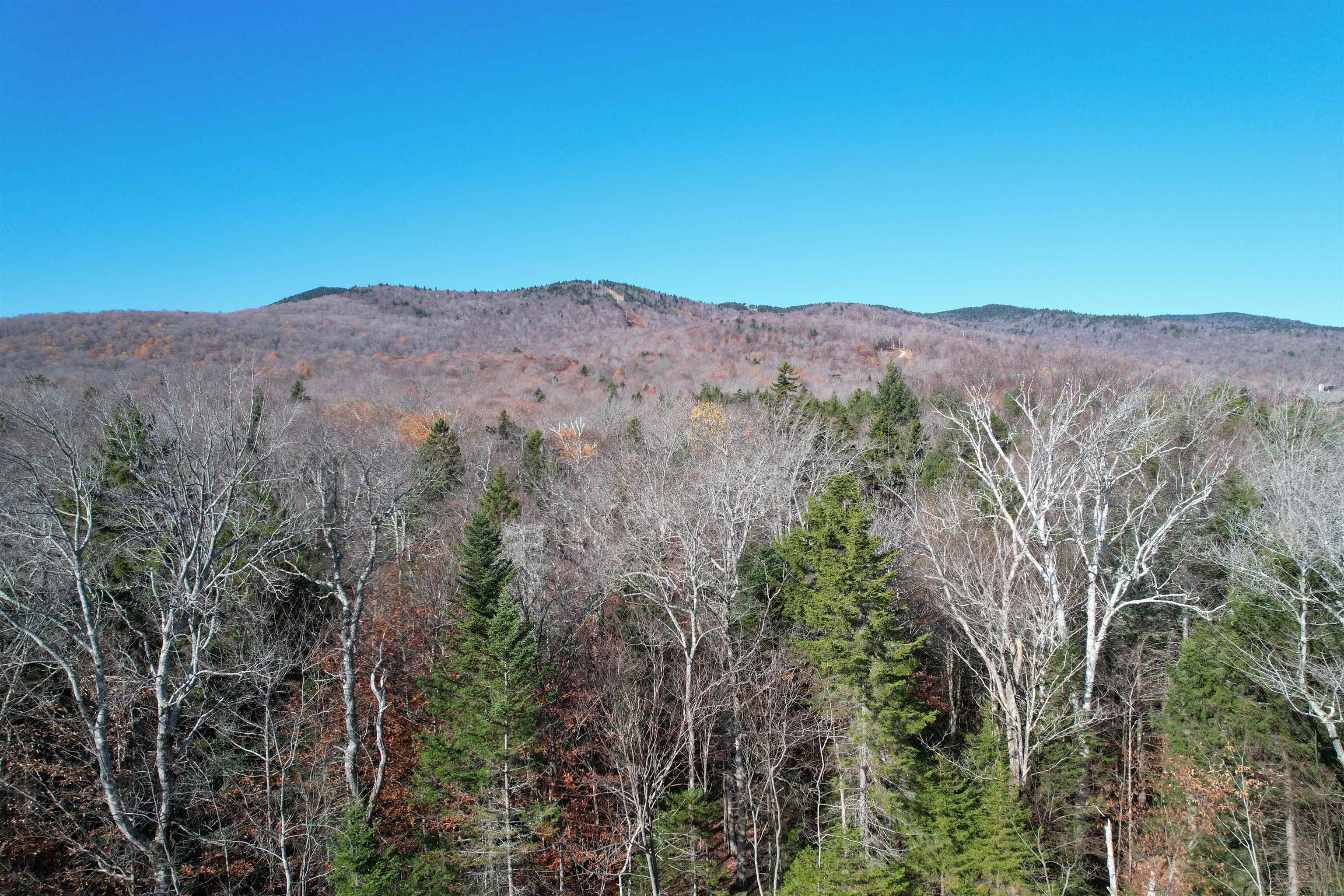 81 Mirror Lake Crossing Property Photo 11