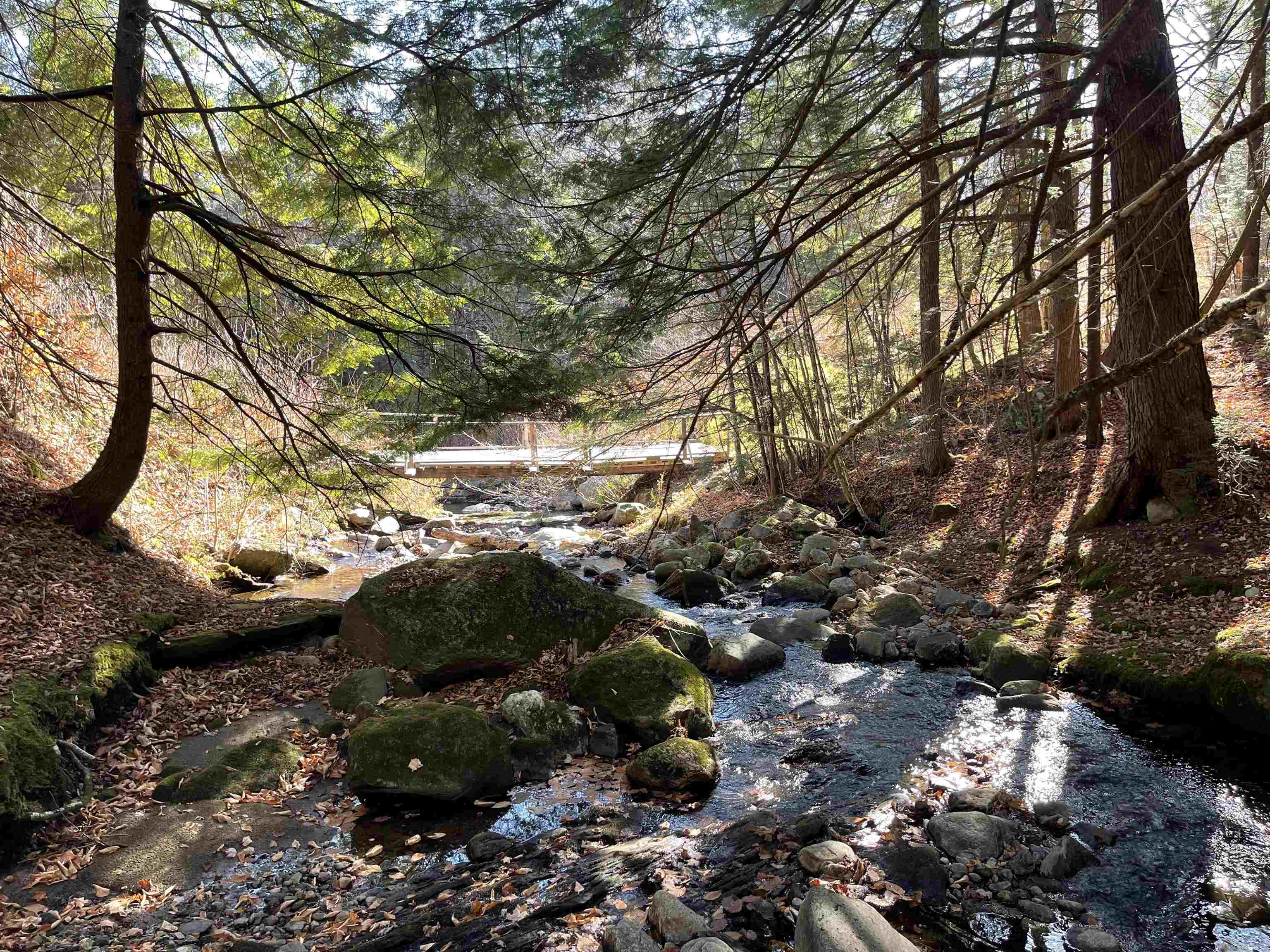 81 Mirror Lake Crossing Property Photo 12