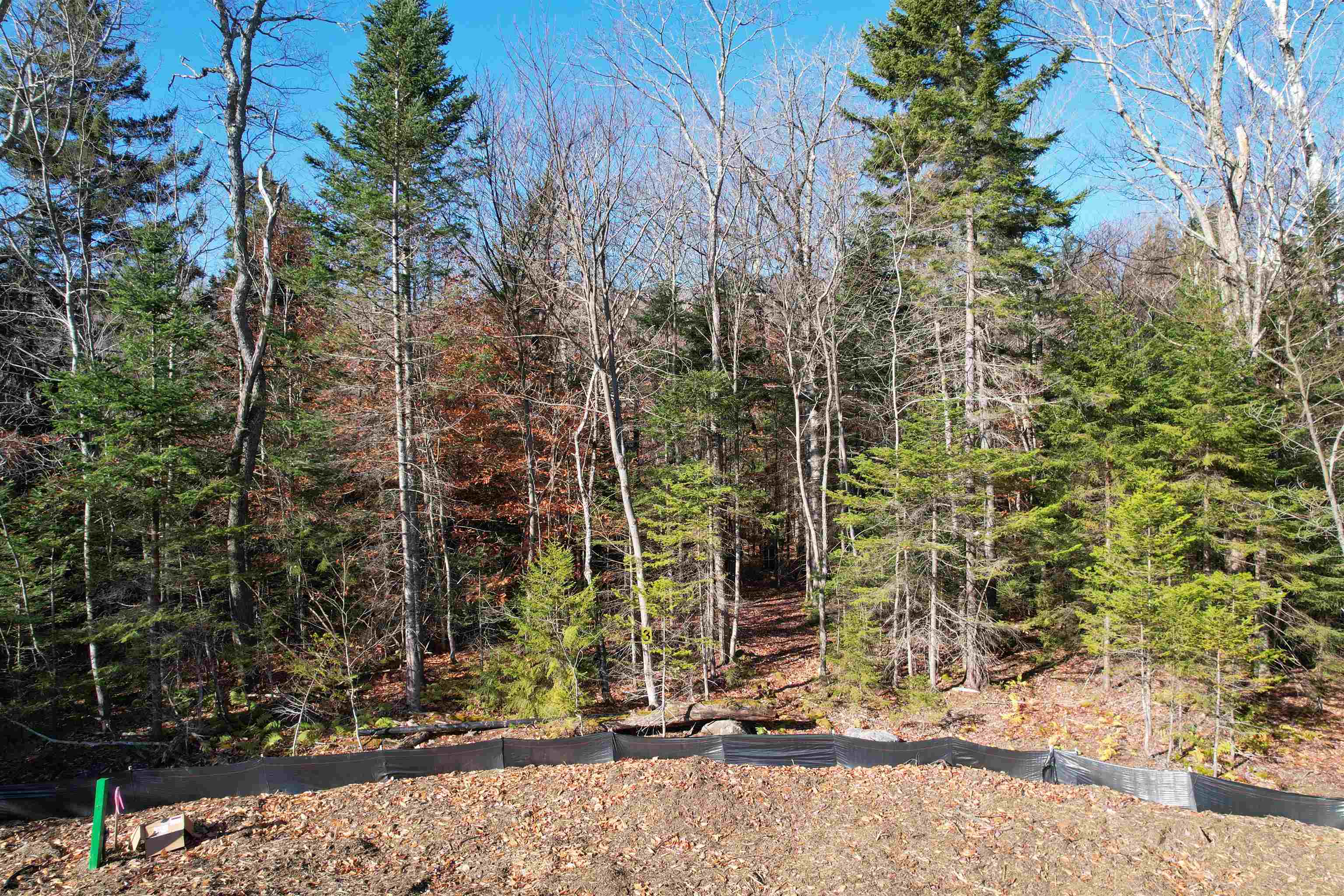 81 Mirror Lake Crossing Property Photo 16