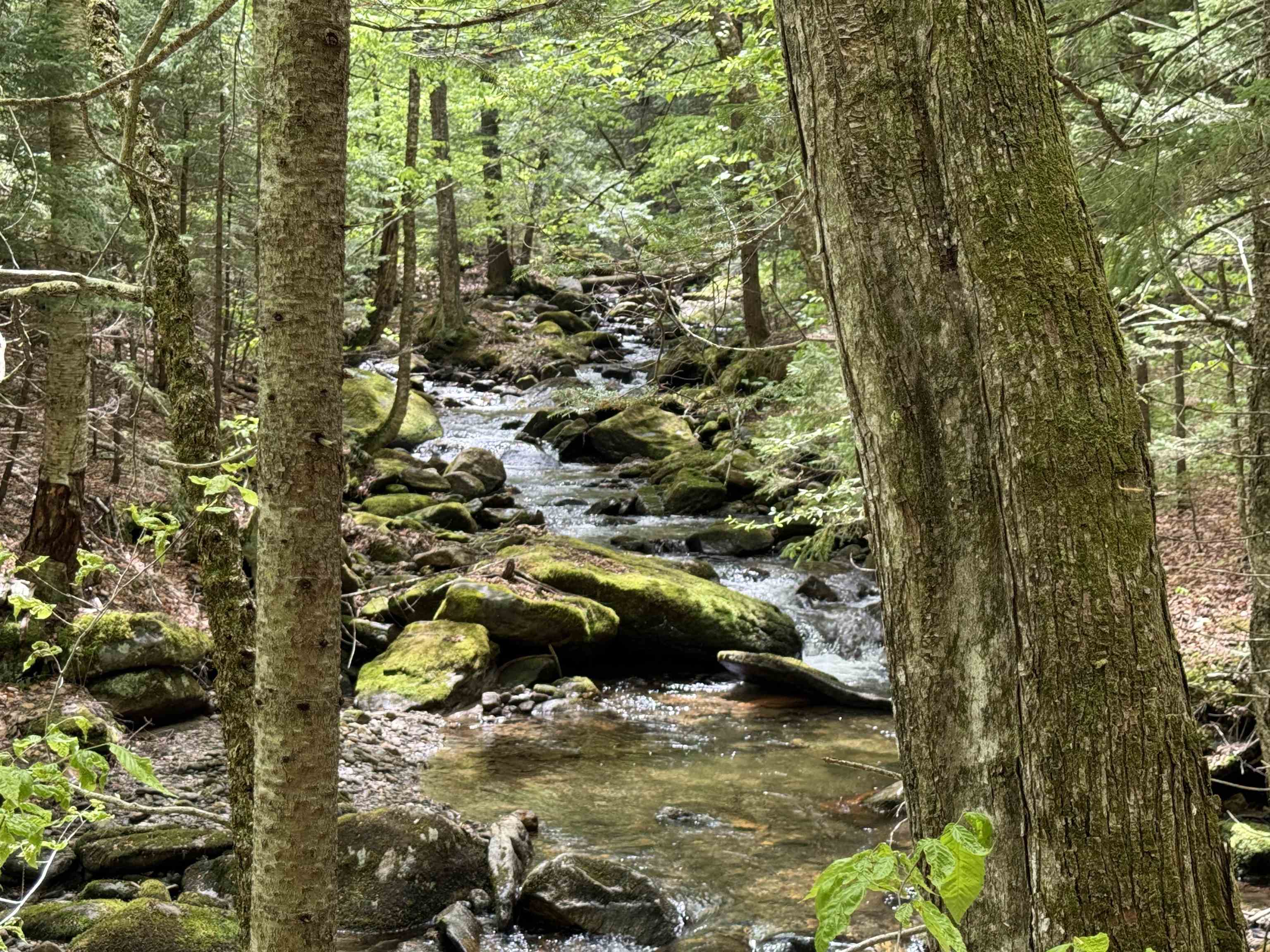 81 Mirror Lake Crossing Property Photo 18
