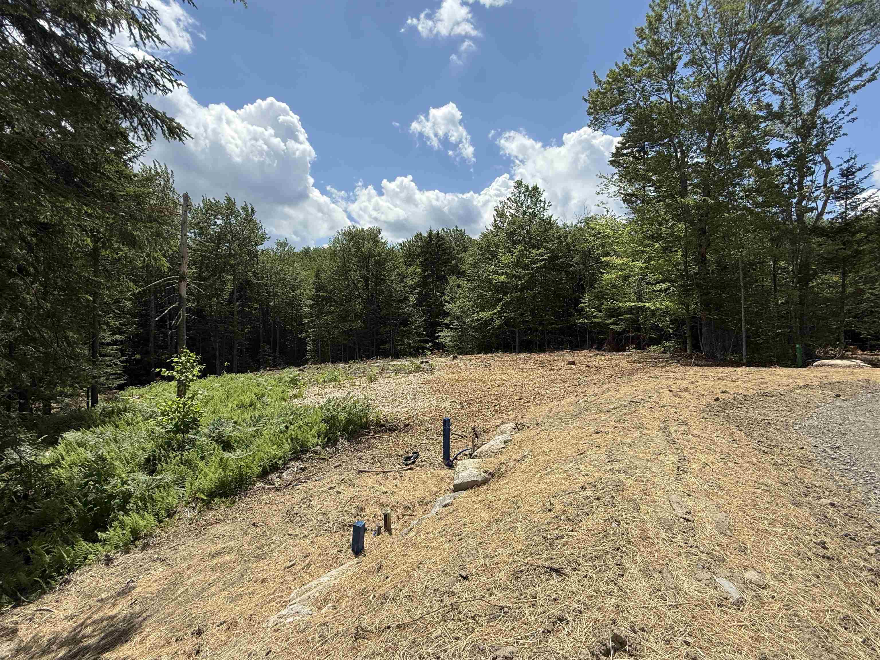 87 Mirror Lake Crossing Property Photo 3