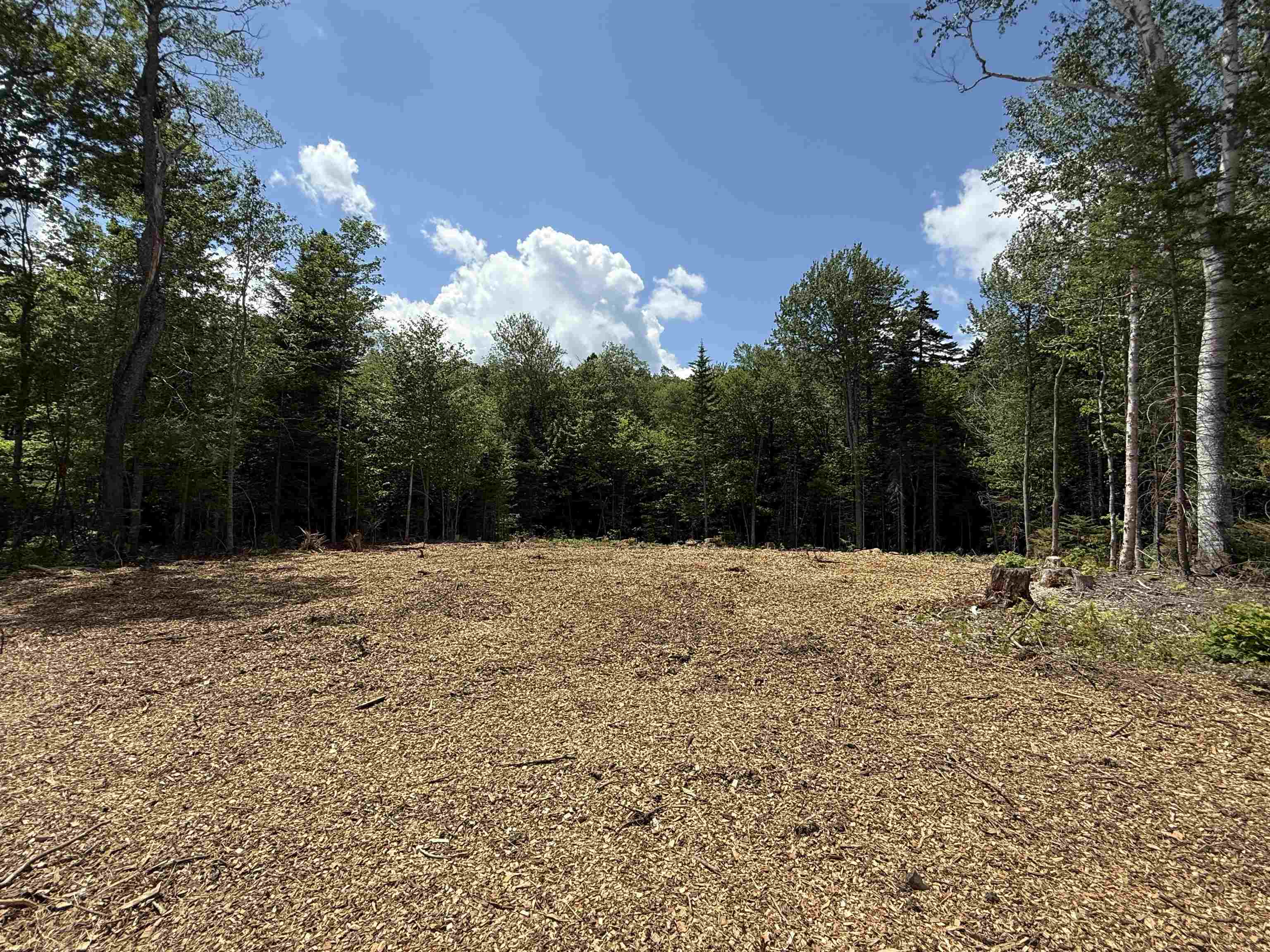 87 Mirror Lake Crossing Property Photo 4