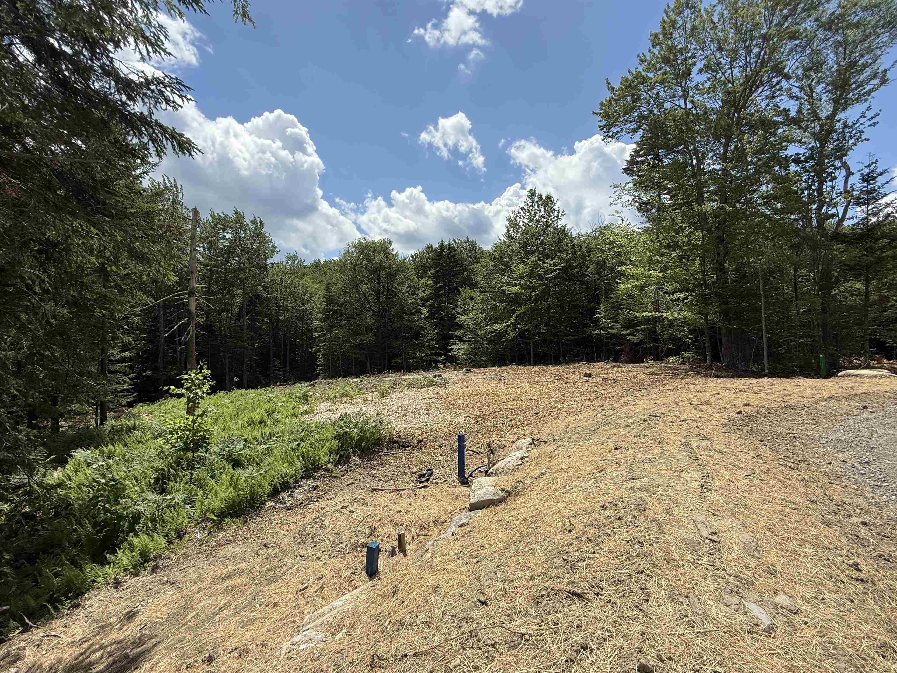 87 Mirror Lake Crossing Property Photo 5