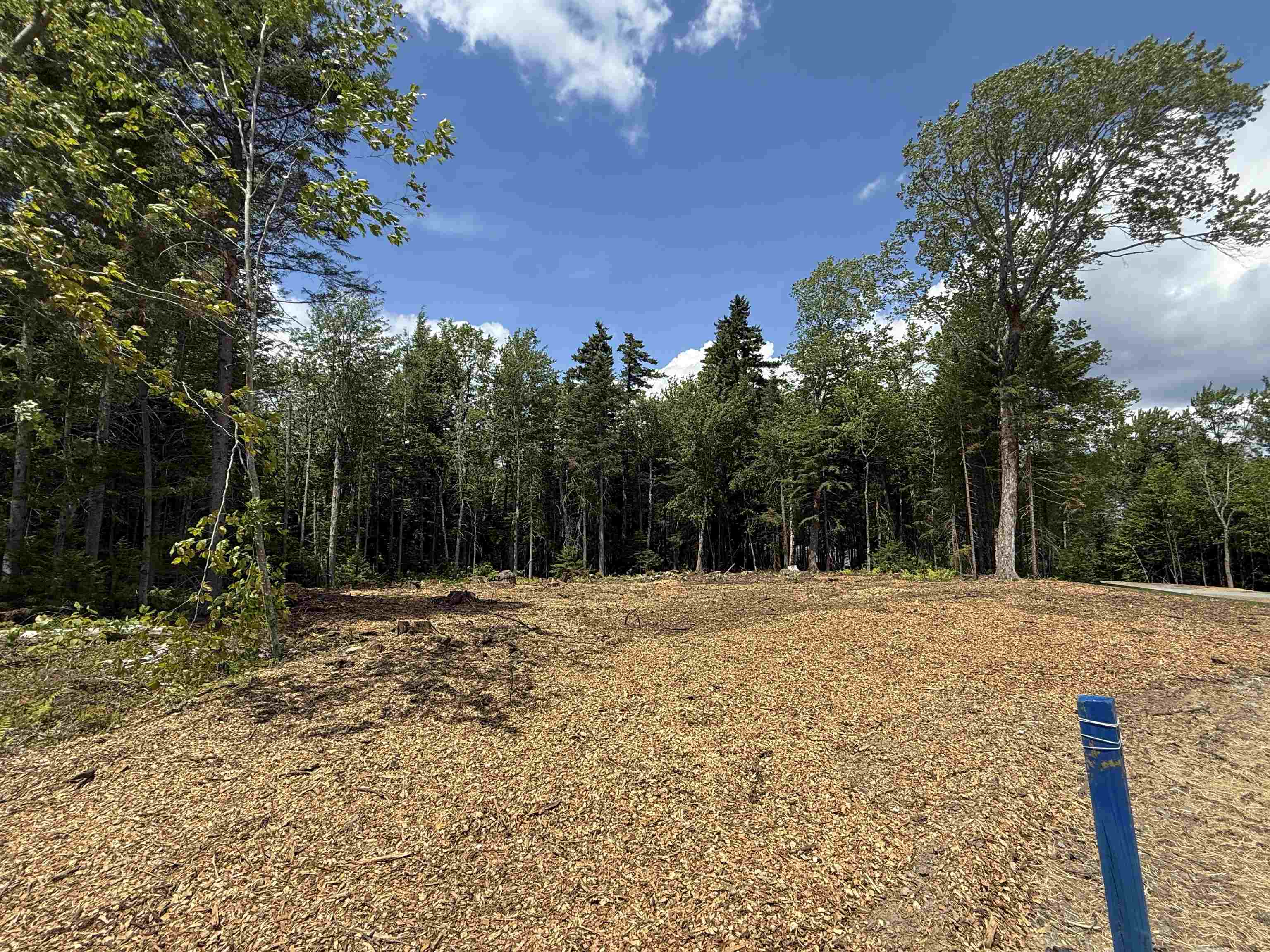 87 Mirror Lake Crossing Property Photo 6