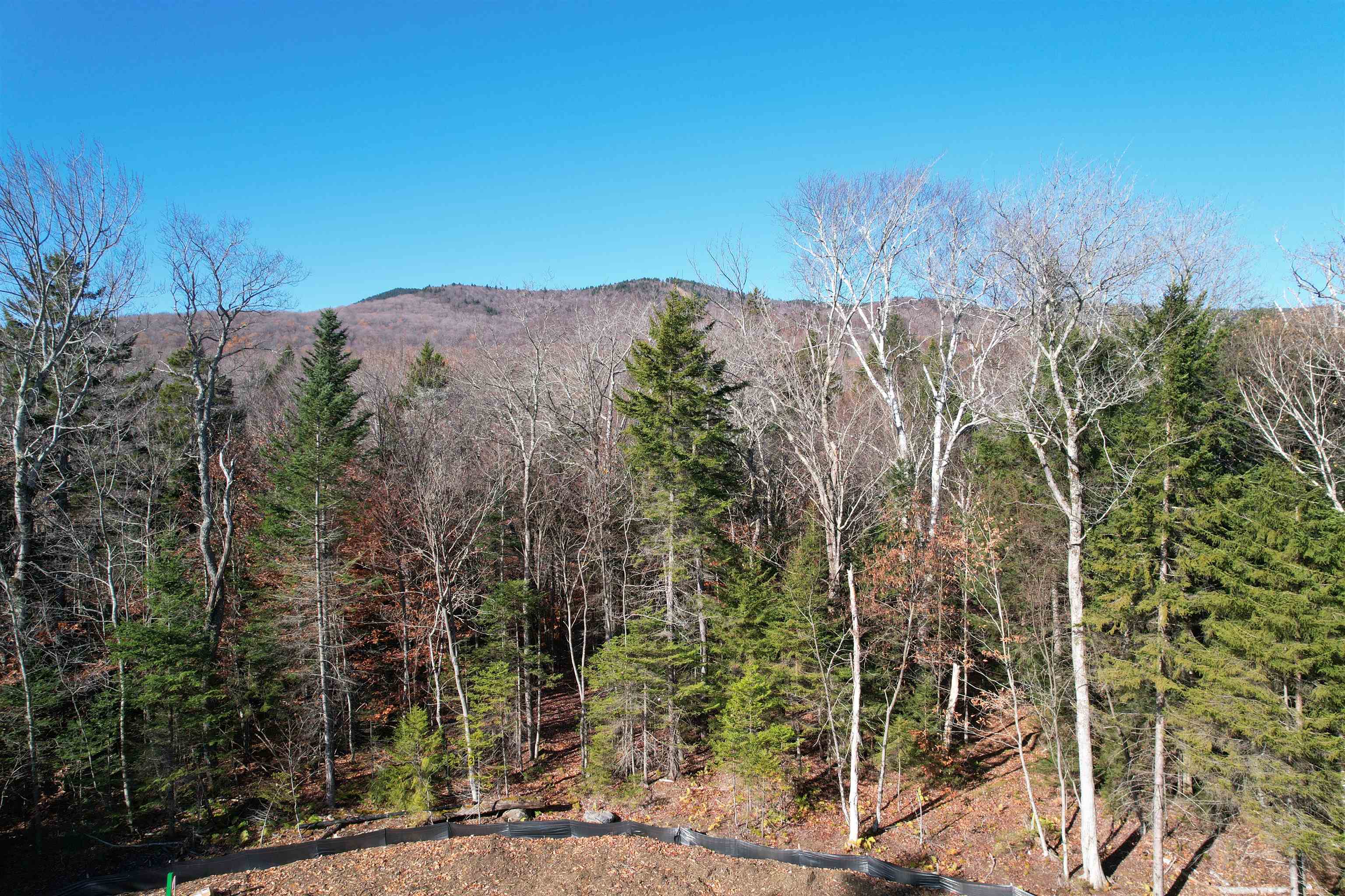 87 Mirror Lake Crossing Property Photo 10