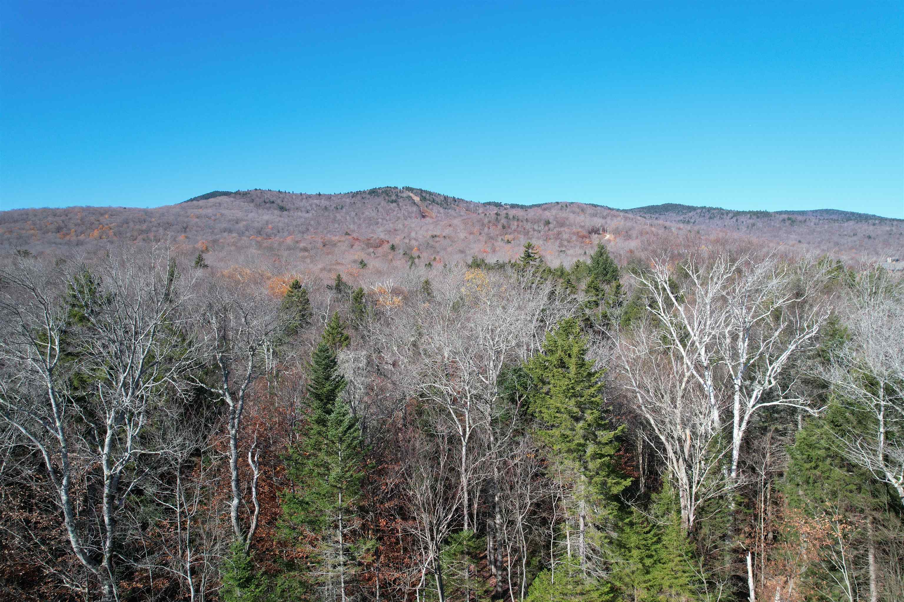 87 Mirror Lake Crossing Property Photo 12