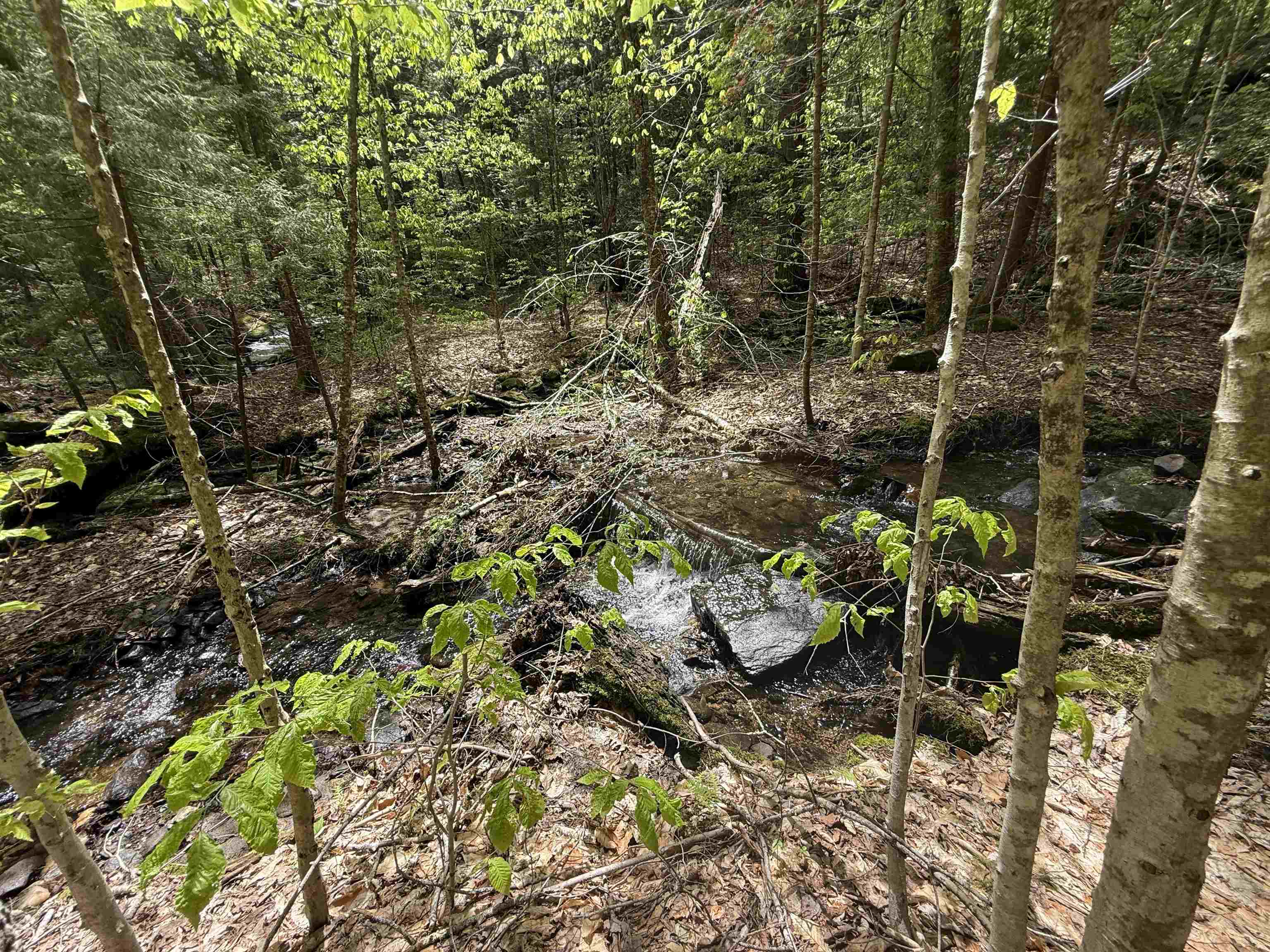 87 Mirror Lake Crossing Property Photo 16