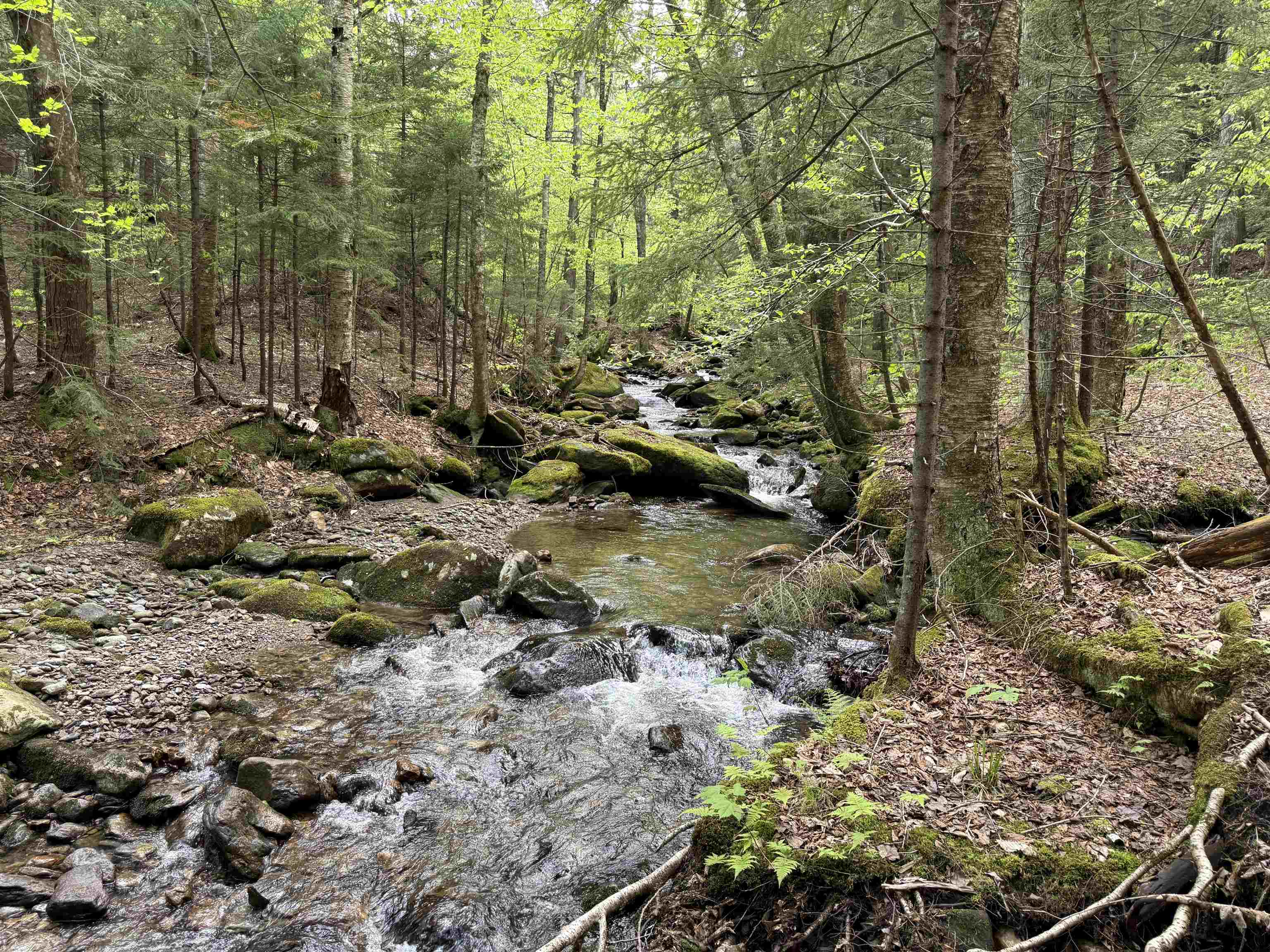 87 Mirror Lake Crossing Property Photo 18