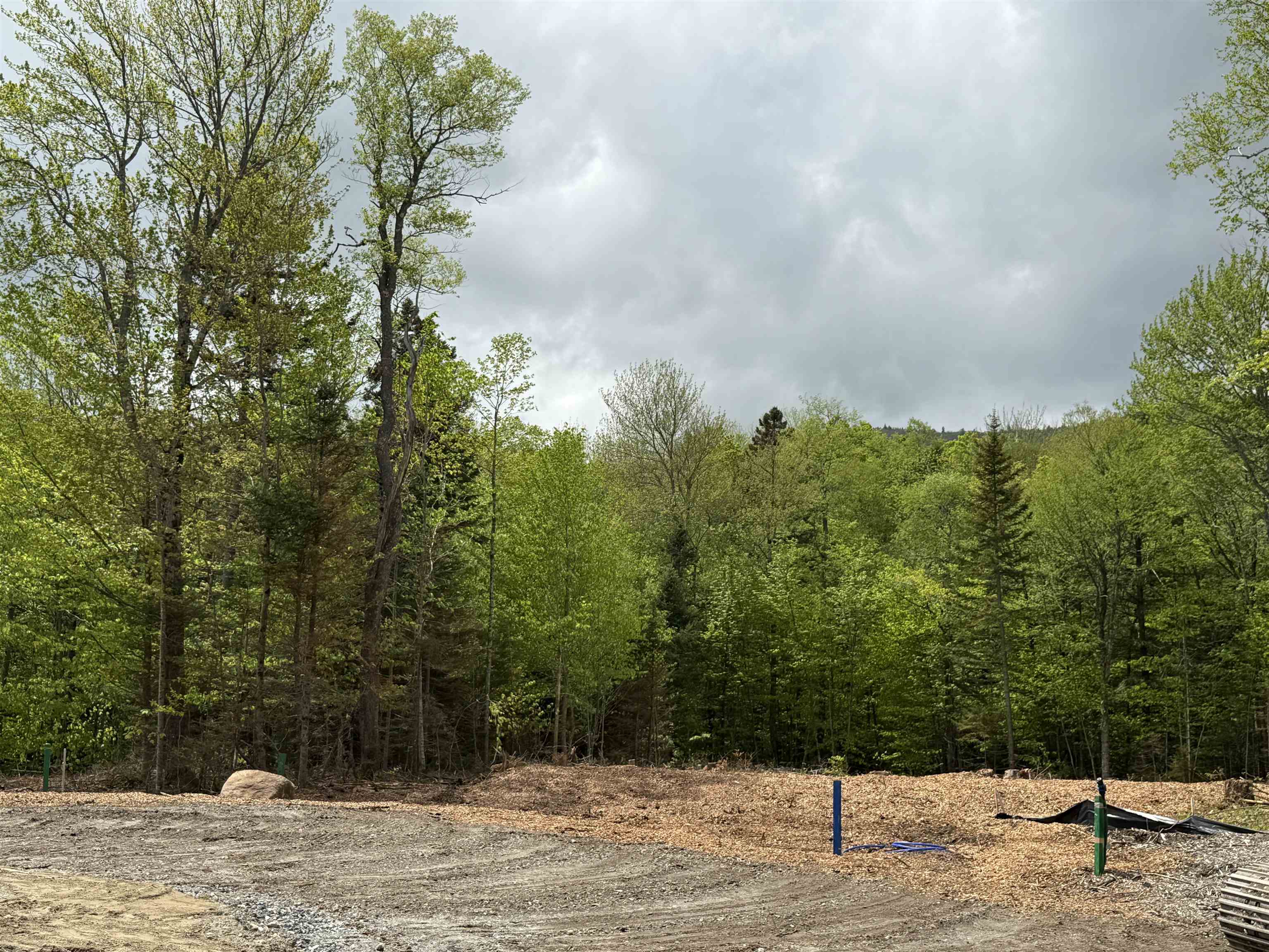 87 Mirror Lake Crossing Property Photo 19