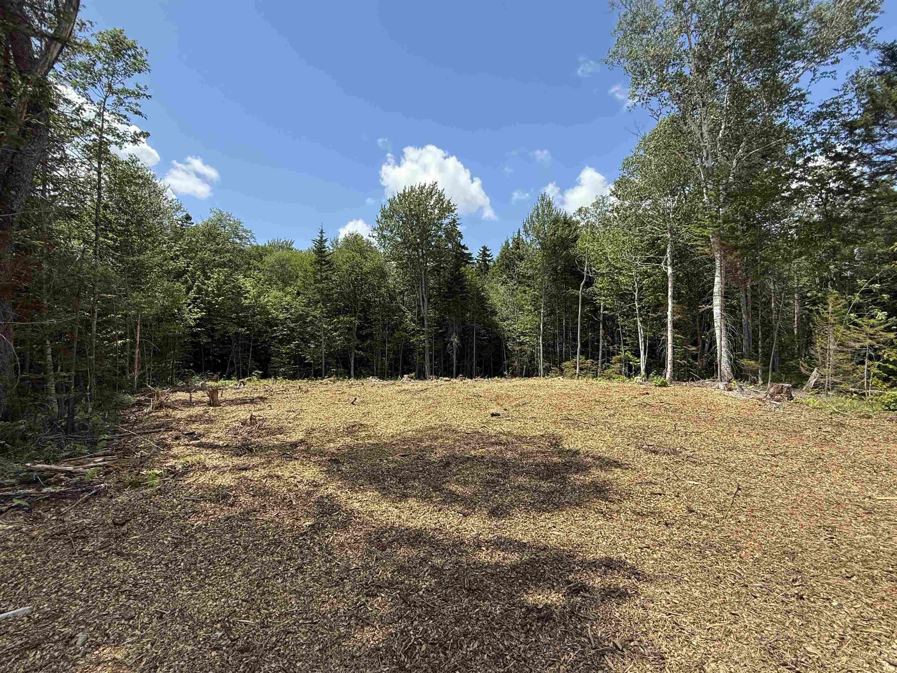 Lot 4 Old Mill Crossing Property Photo 3