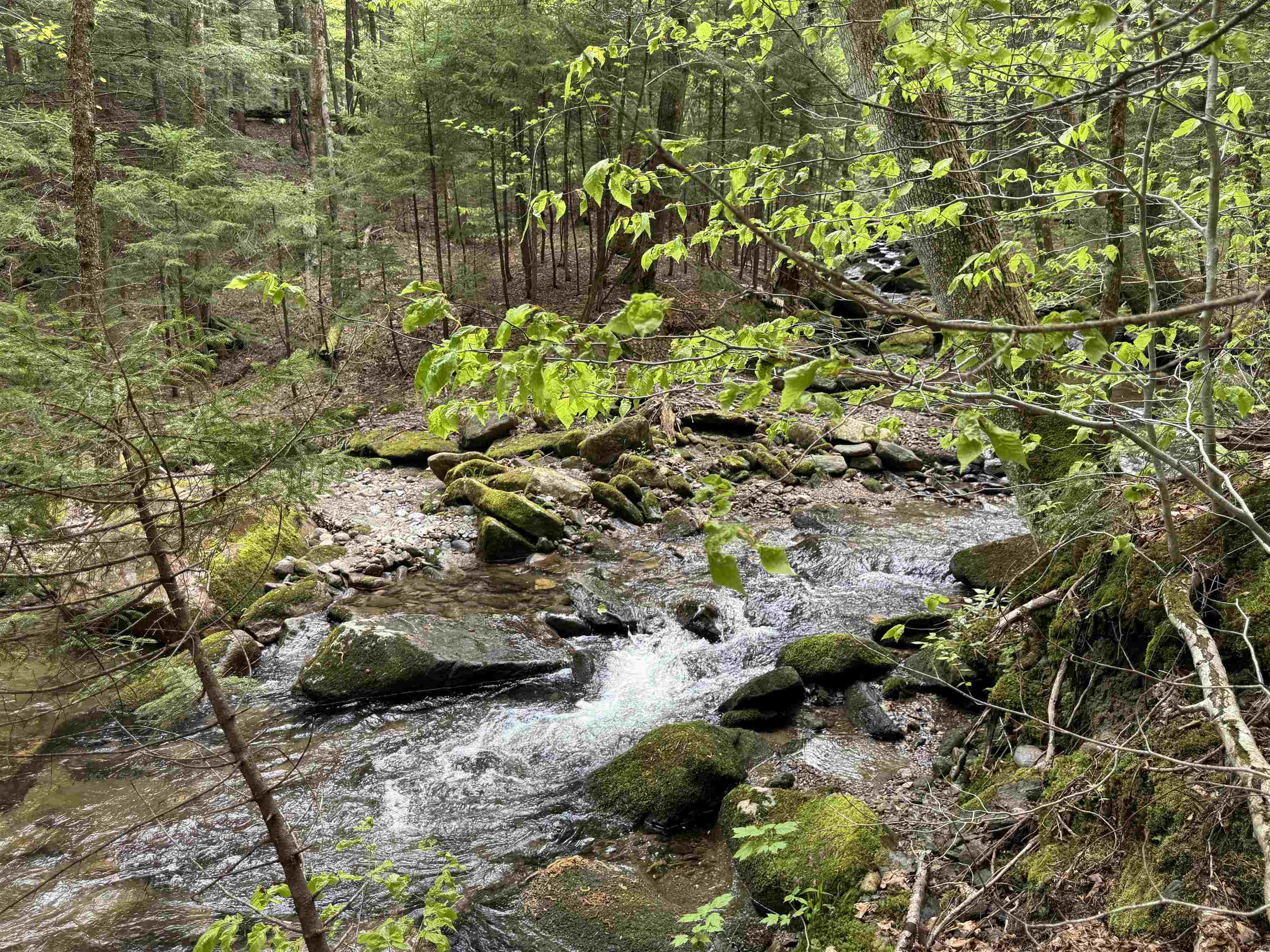 Lot 4 Old Mill Crossing Property Photo 4