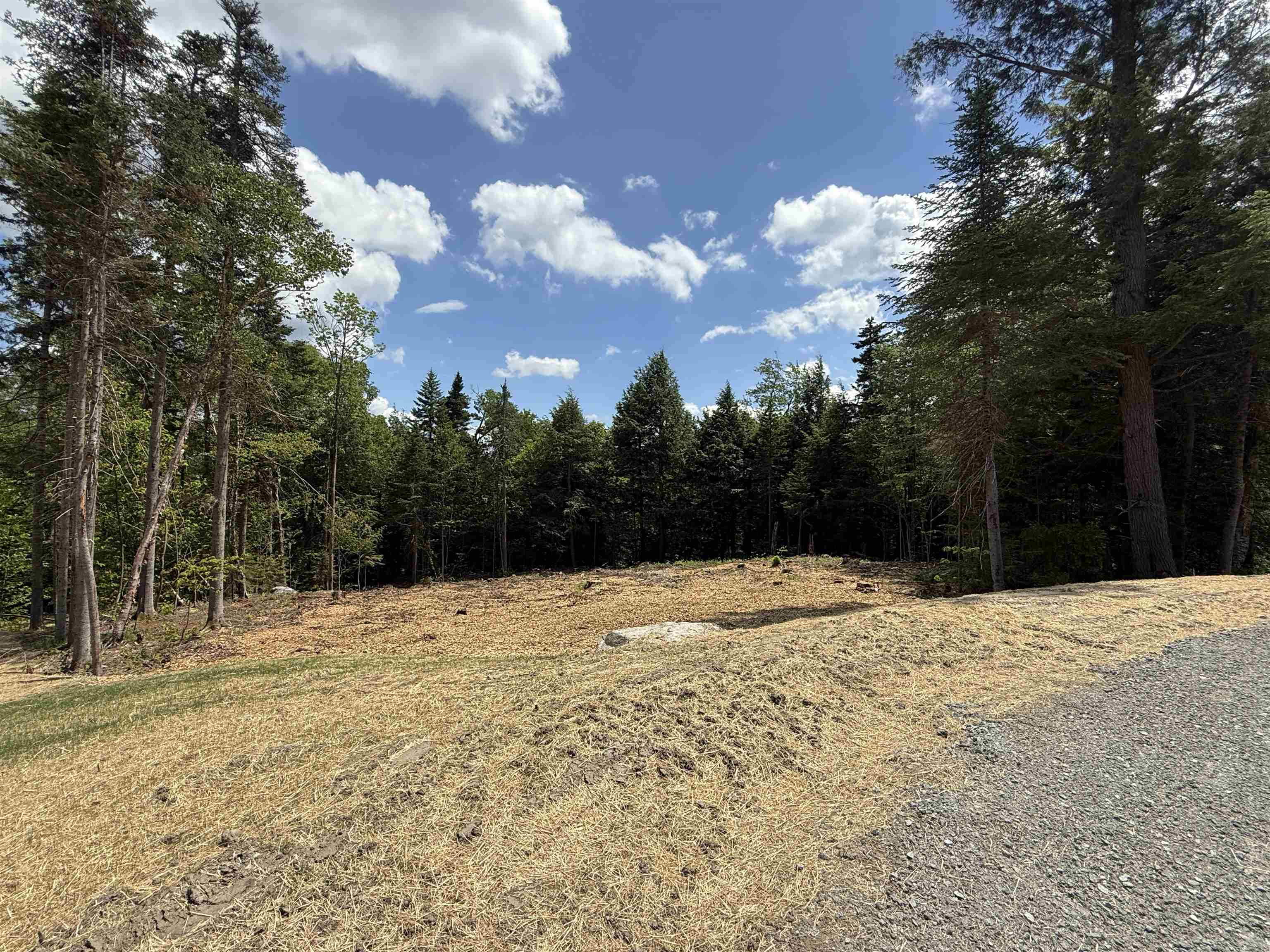 Lot 4 Old Mill Crossing Property Photo 5