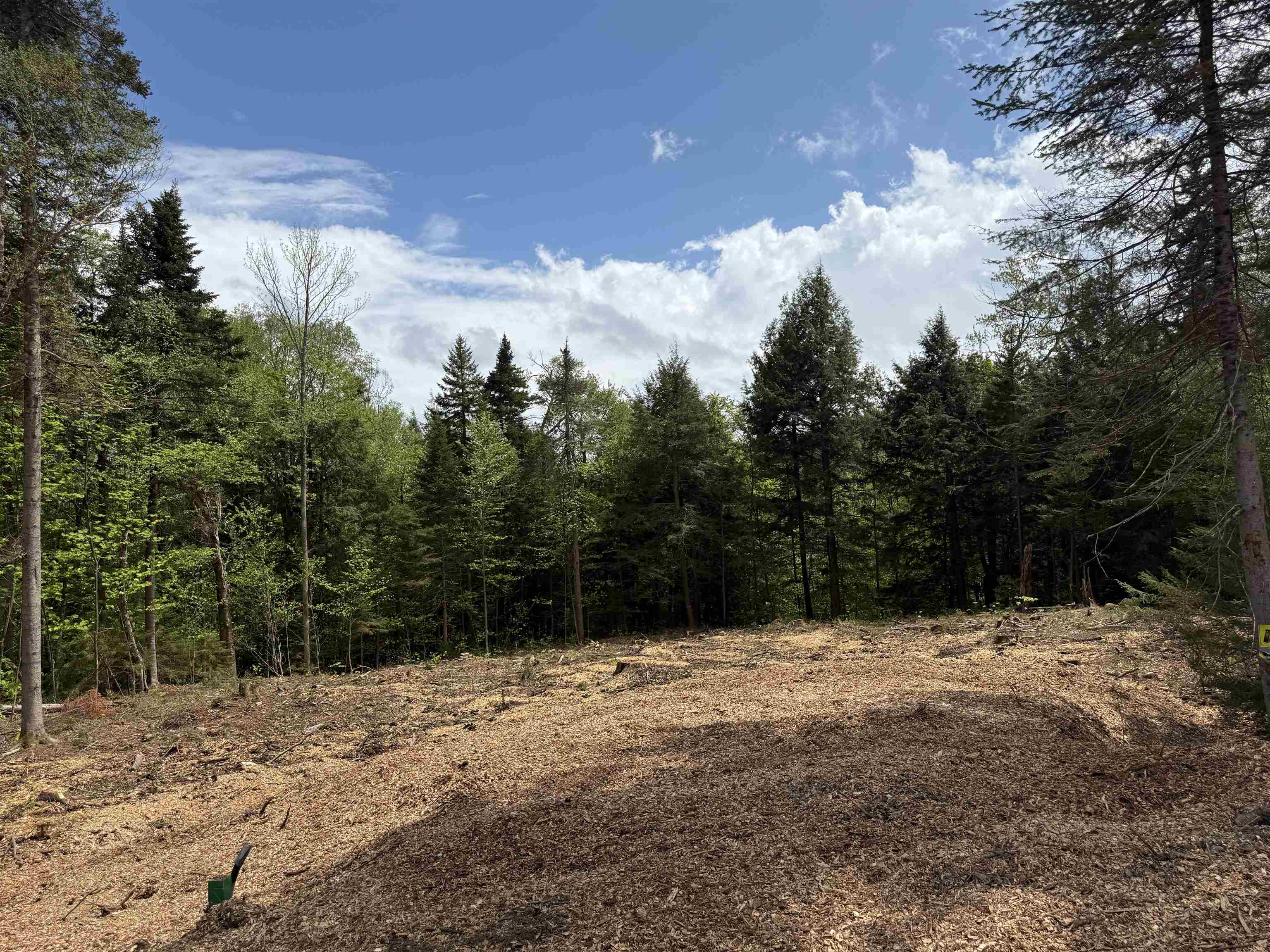 Lot 4 Old Mill Crossing Property Photo 6