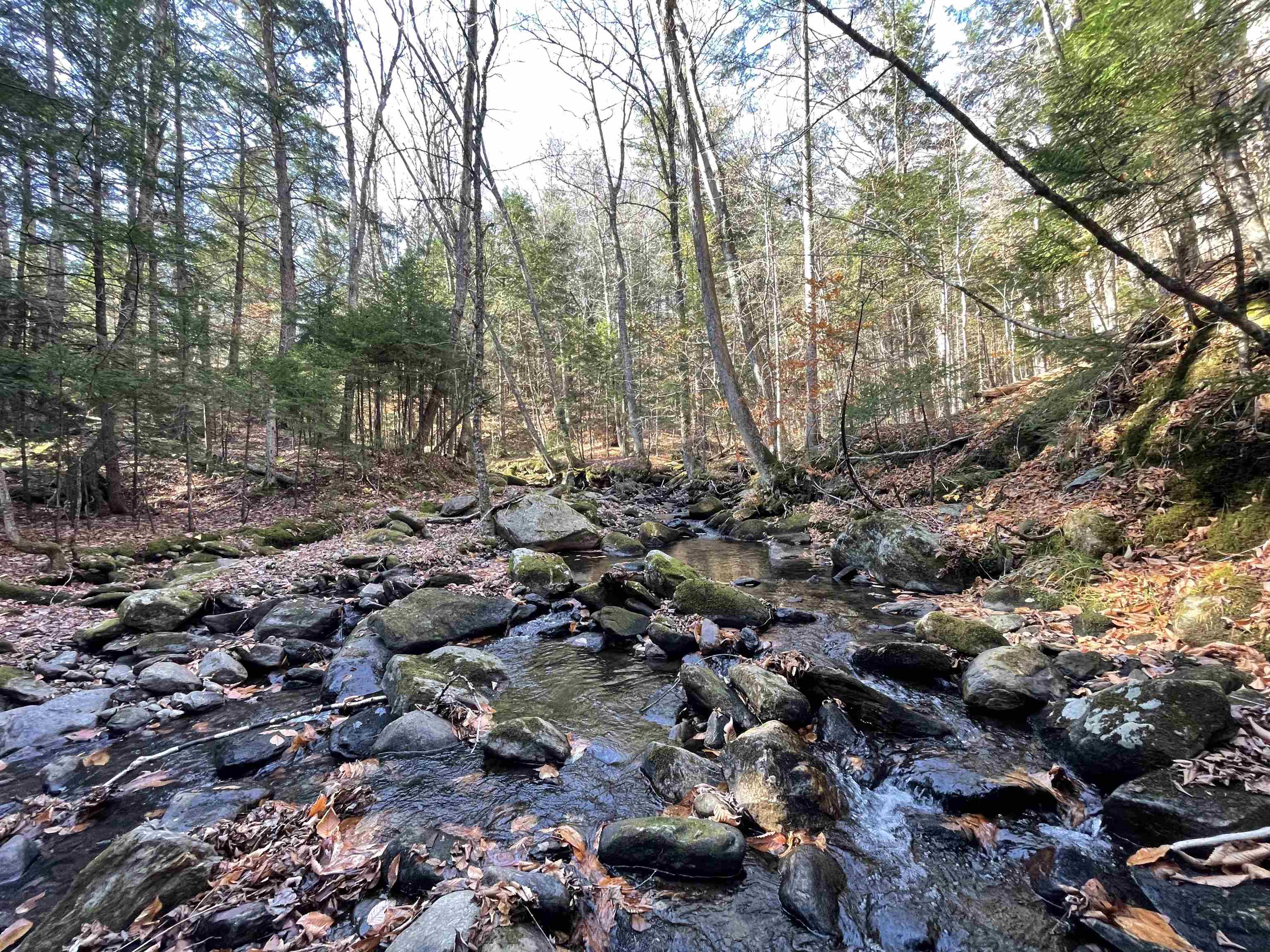 Lot 4 Old Mill Crossing Property Photo 10
