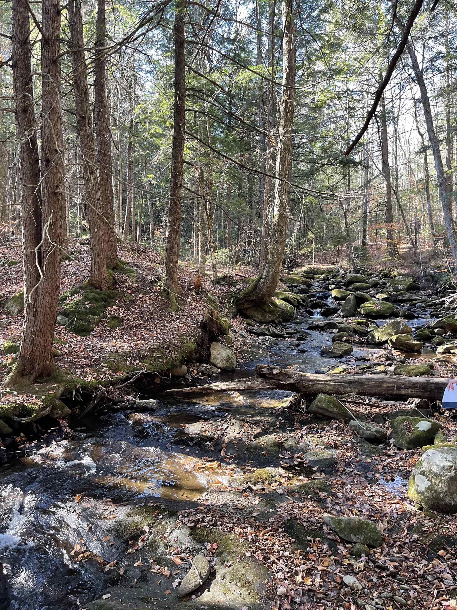 Lot 4 Old Mill Crossing Property Photo 11