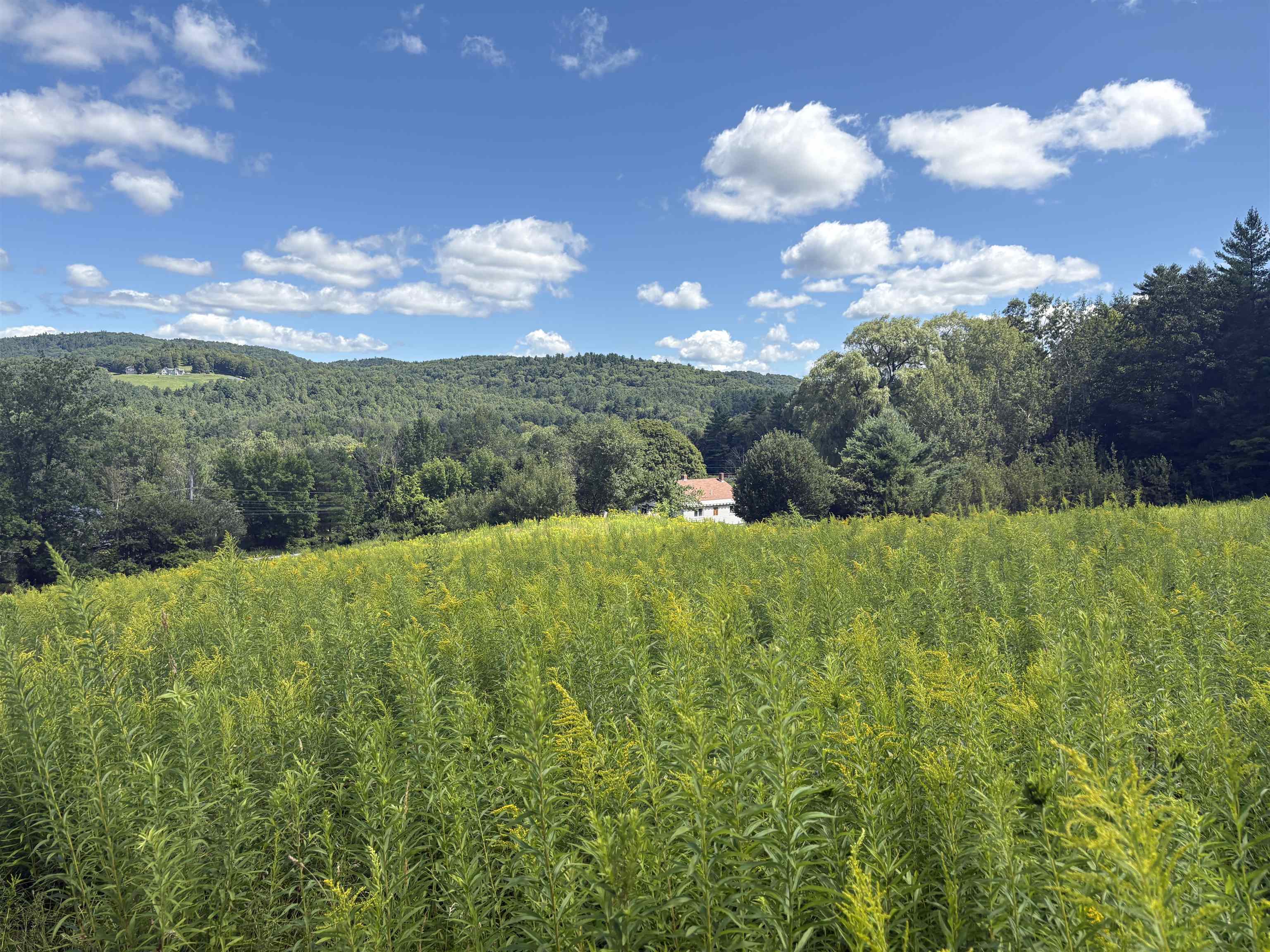 00 Route 44 Property Photo 2