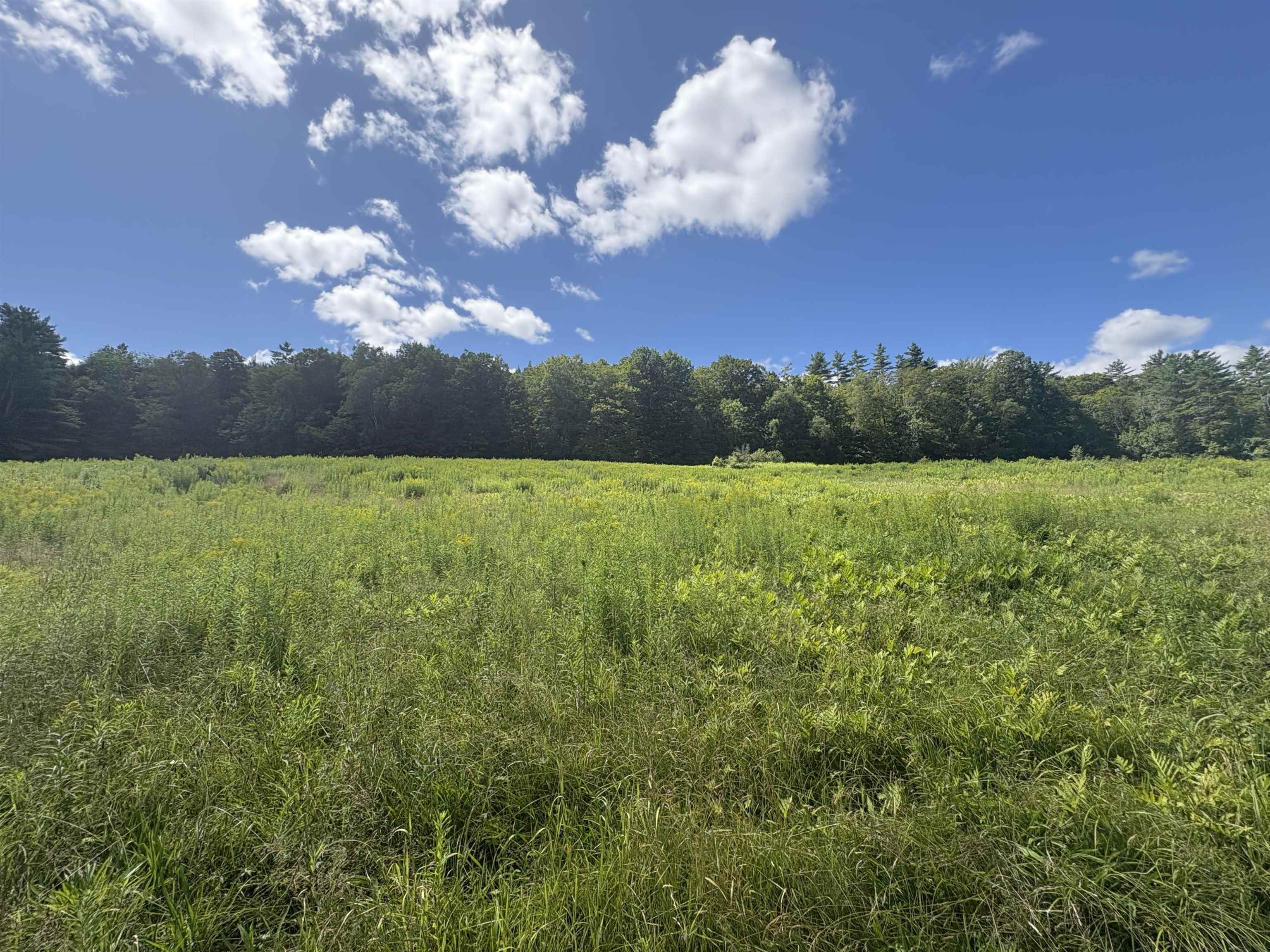 00 Route 44 Property Photo 4
