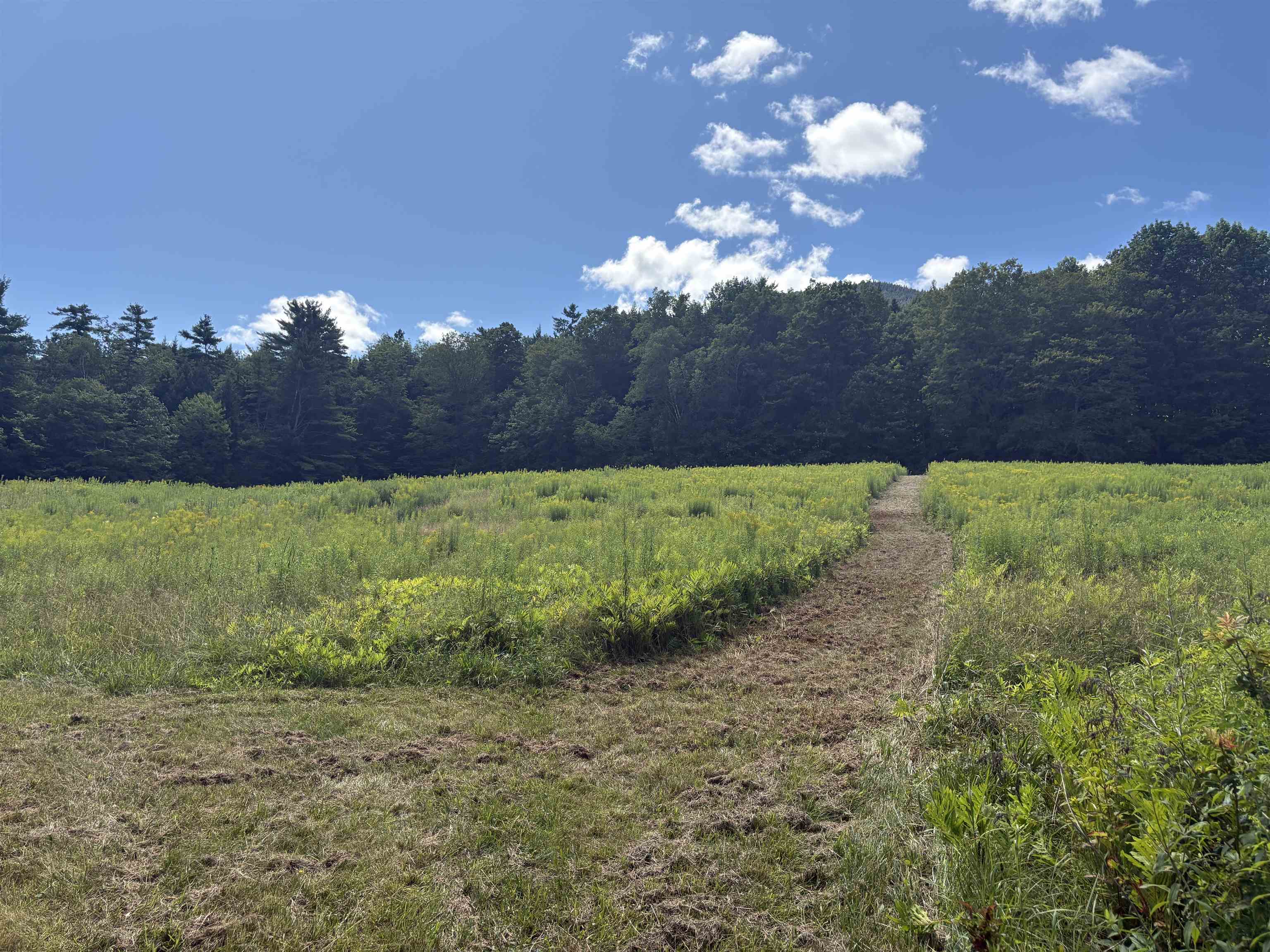 00 Route 44 Property Photo 6