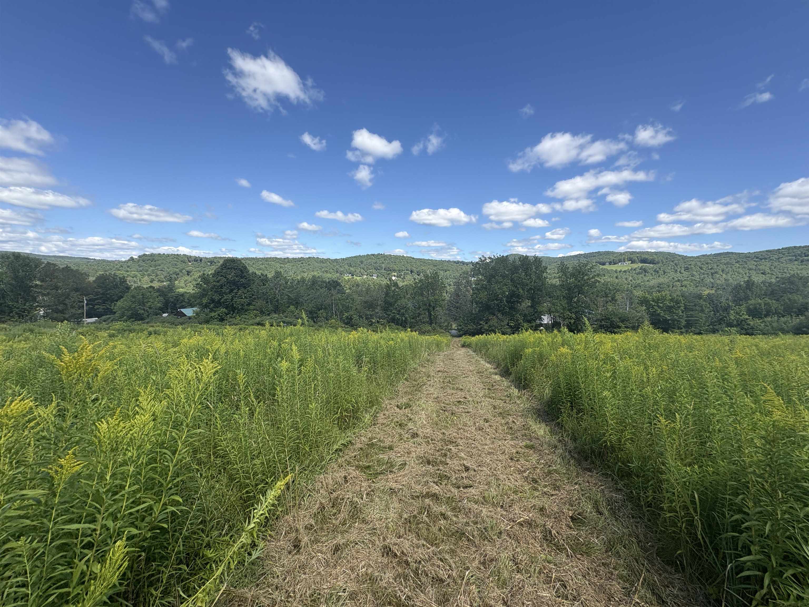 00 Route 44 Property Photo 8