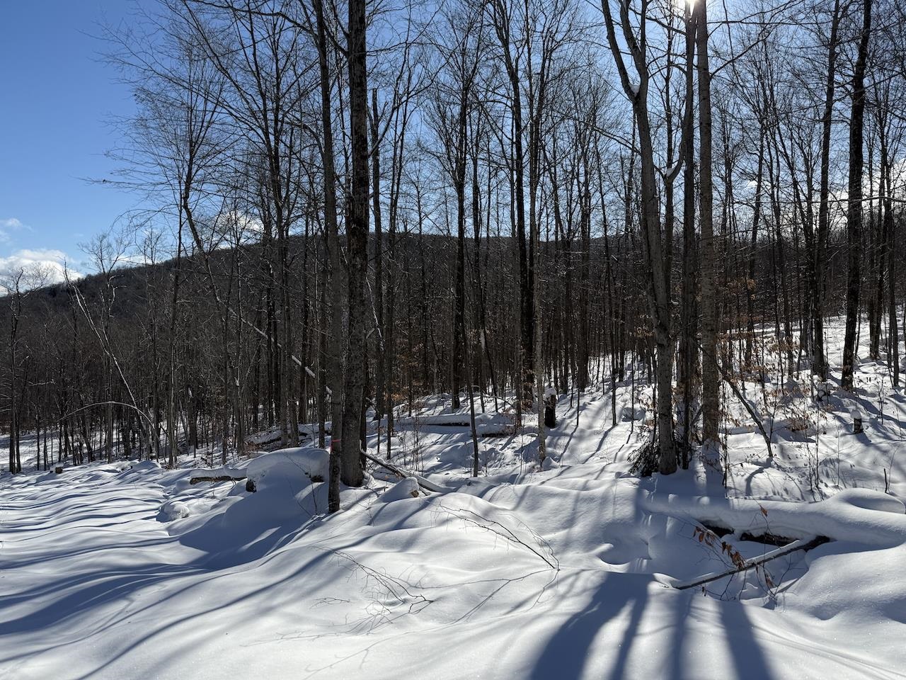 S-1c Great Roaring Brook Road Property Photo