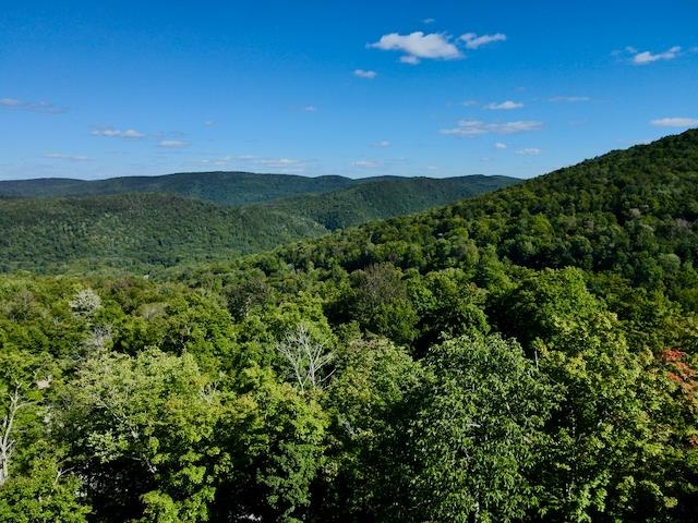 S-1c Great Roaring Brook Road Property Photo 1