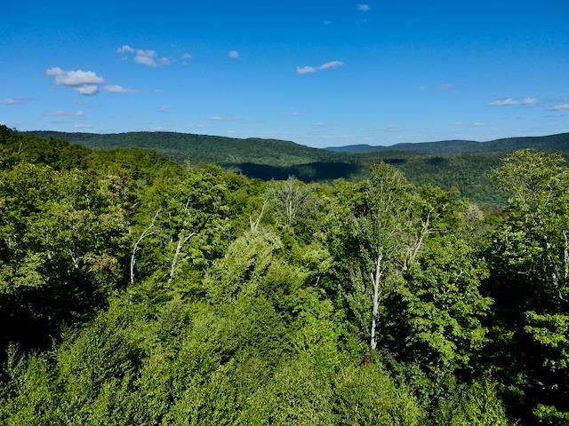 S-1c Great Roaring Brook Road Property Photo 2