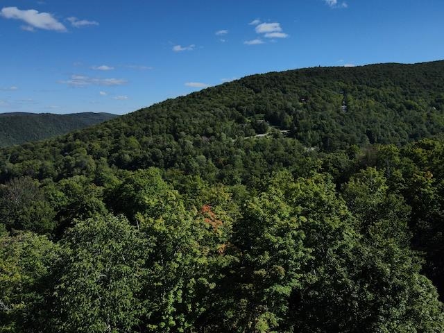 S-1c Great Roaring Brook Road Property Photo 3