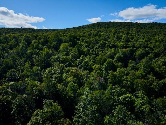S-1c Great Roaring Brook Road Property Photo 4