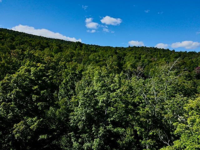 S-1c Great Roaring Brook Road Property Photo 5