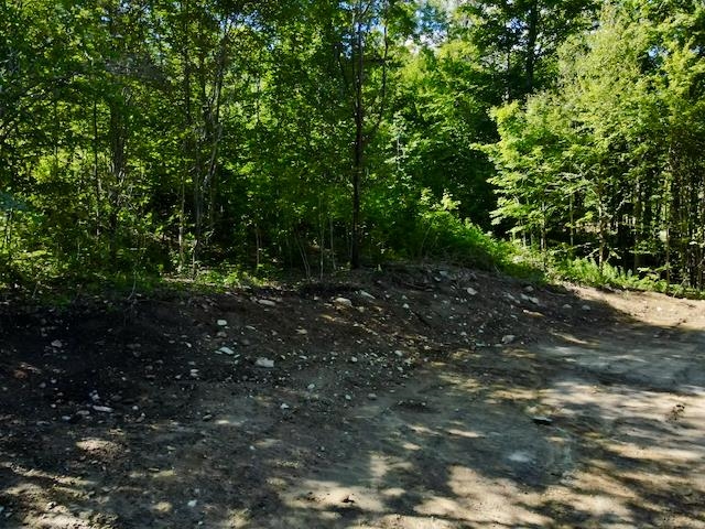 S-1c Great Roaring Brook Road Property Photo 7