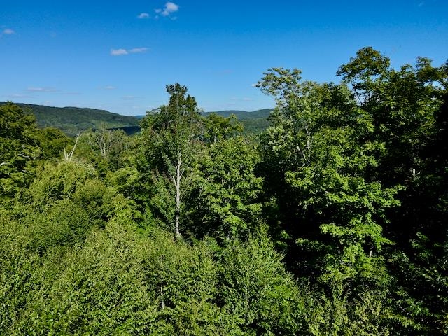 S-1c Great Roaring Brook Road Property Photo 10