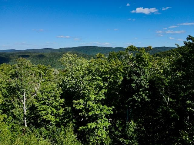 S-1c Great Roaring Brook Road Property Photo 11