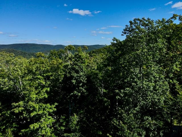 S-1c Great Roaring Brook Road Property Photo 12