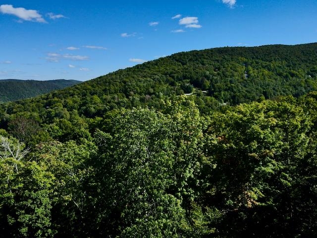 S-1c Great Roaring Brook Road Property Photo 13