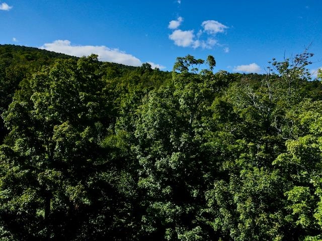 S-1c Great Roaring Brook Road Property Photo 14