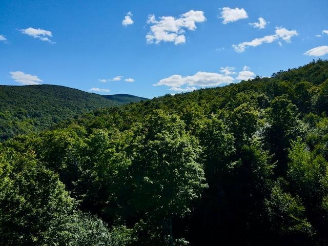 S-1c Great Roaring Brook Road Property Photo 15