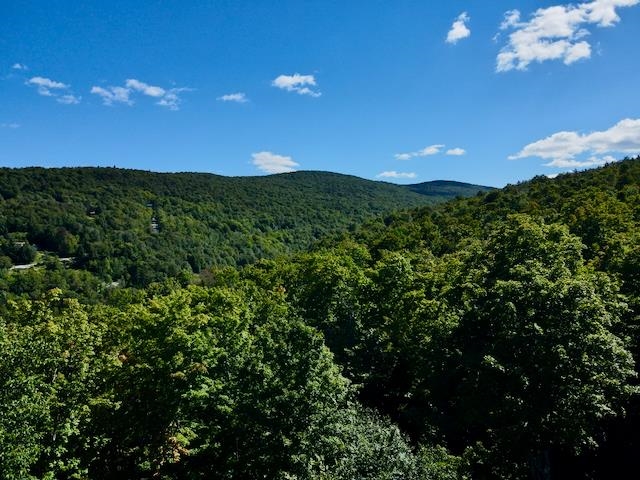 S-1c Great Roaring Brook Road Property Photo 16