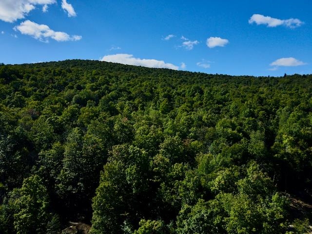 S-1c Great Roaring Brook Road Property Photo 17