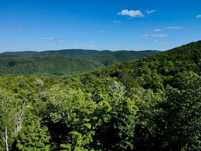 S-1c Great Roaring Brook Road Property Photo 18